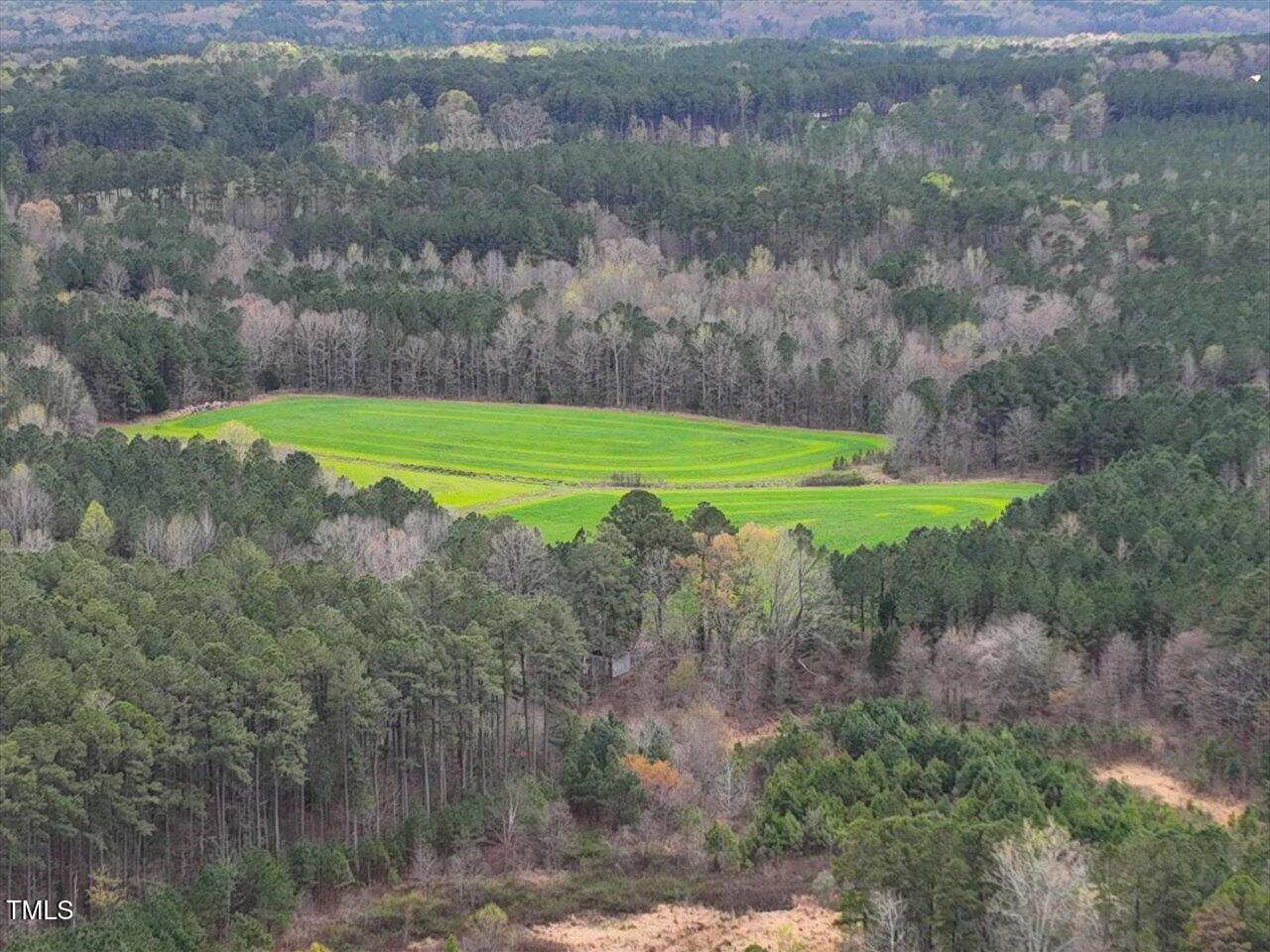 0 Olive Chapel Road Apex, NC 27502 - Photo 10 of 18 25-025-ChathamParcel-17926-20220325