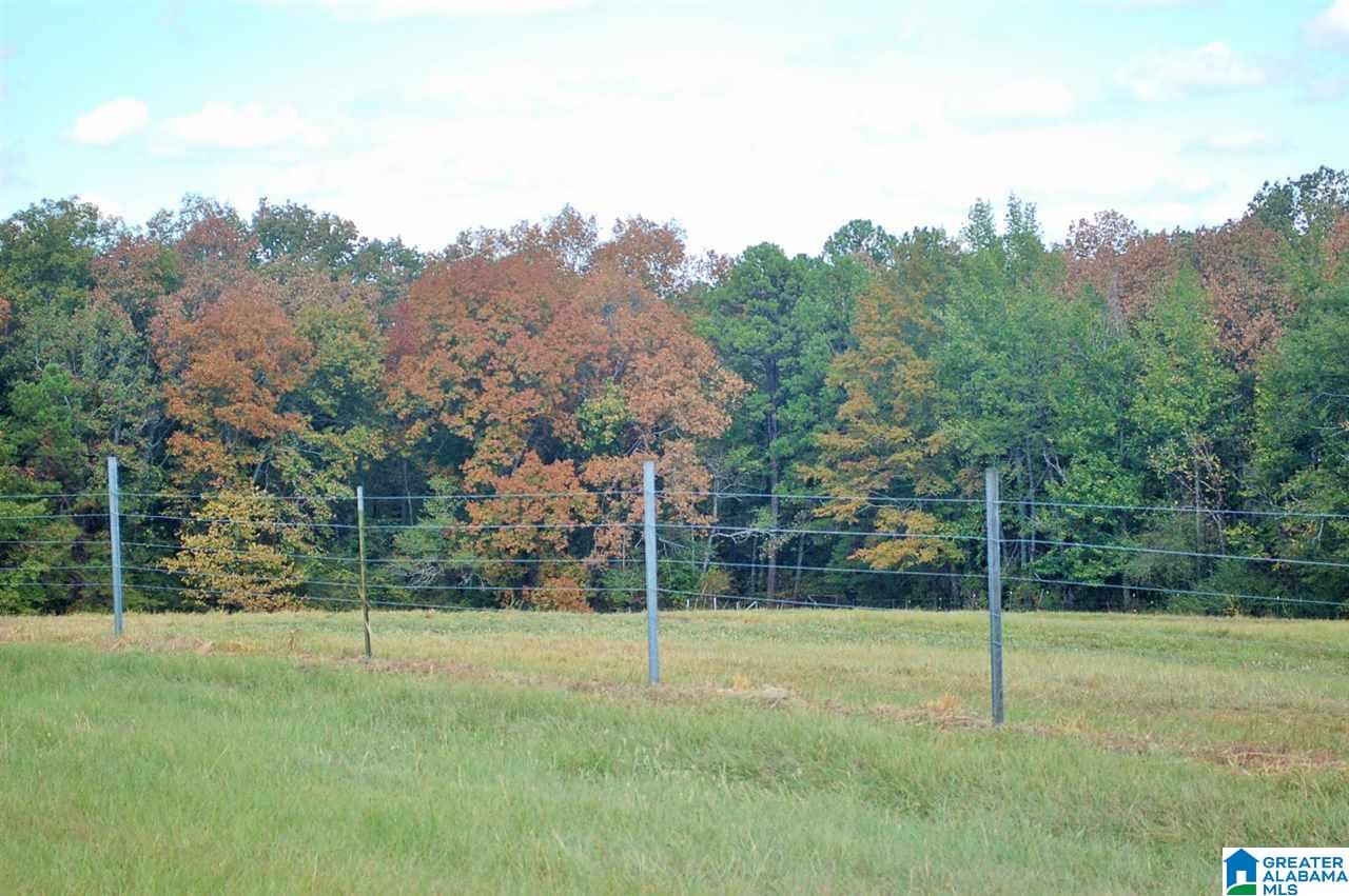 905 Sitton Road Hayden, AL 35079 - Photo 34 of 34