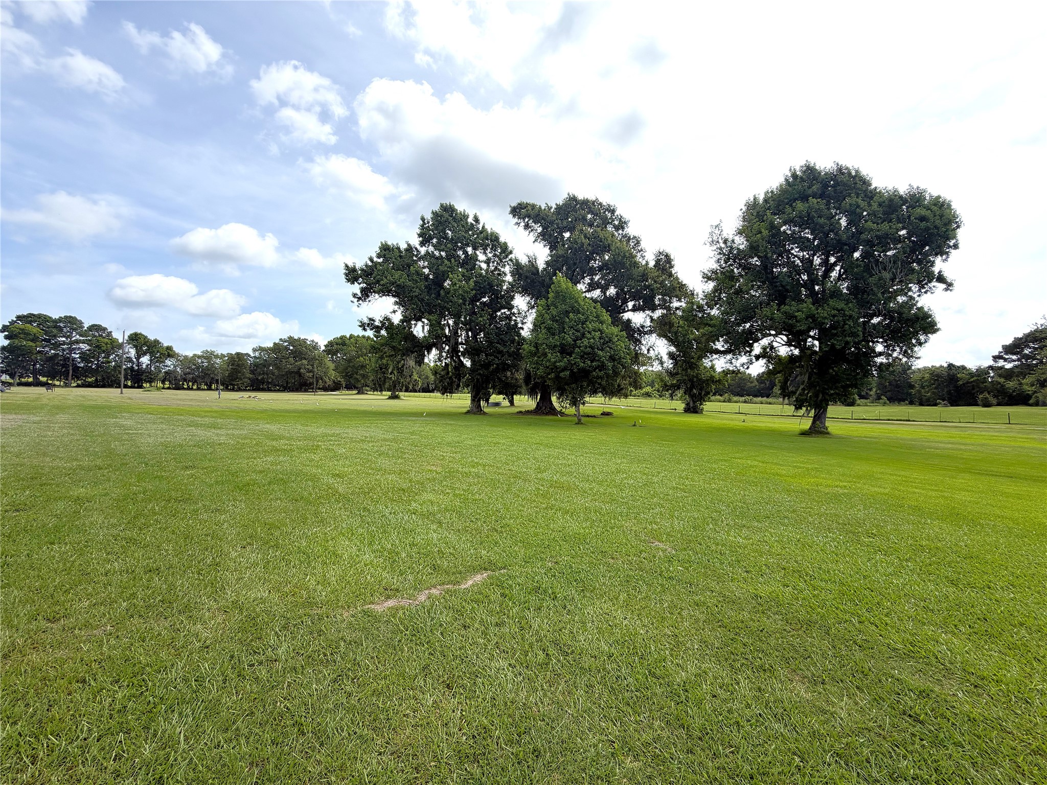 247 South Skains Chapel Road Trinity, TX 75862 - Photo 4 of 8 Gallery Image 4