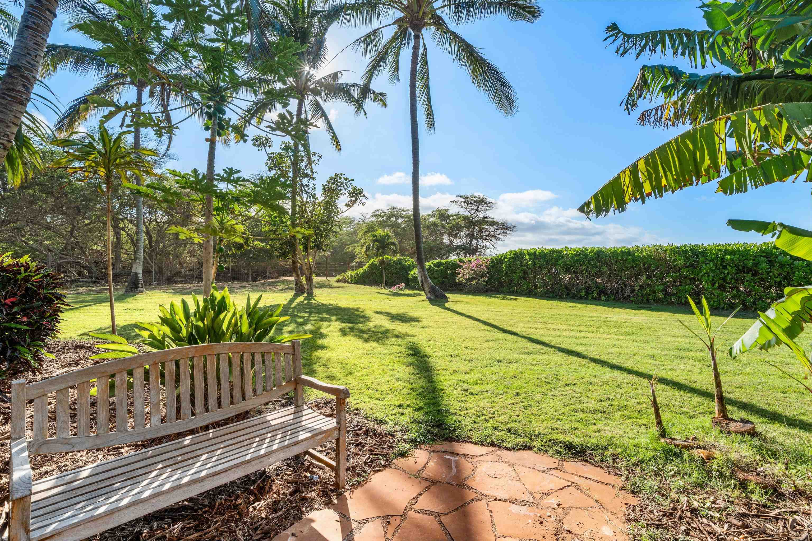 2944 Kalua Koi Road Maunaloa, HI 96770 - Photo 16 of 47 a view of a wooden deck with a yard