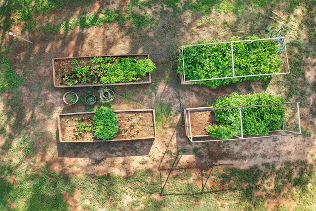 front view of a pathway