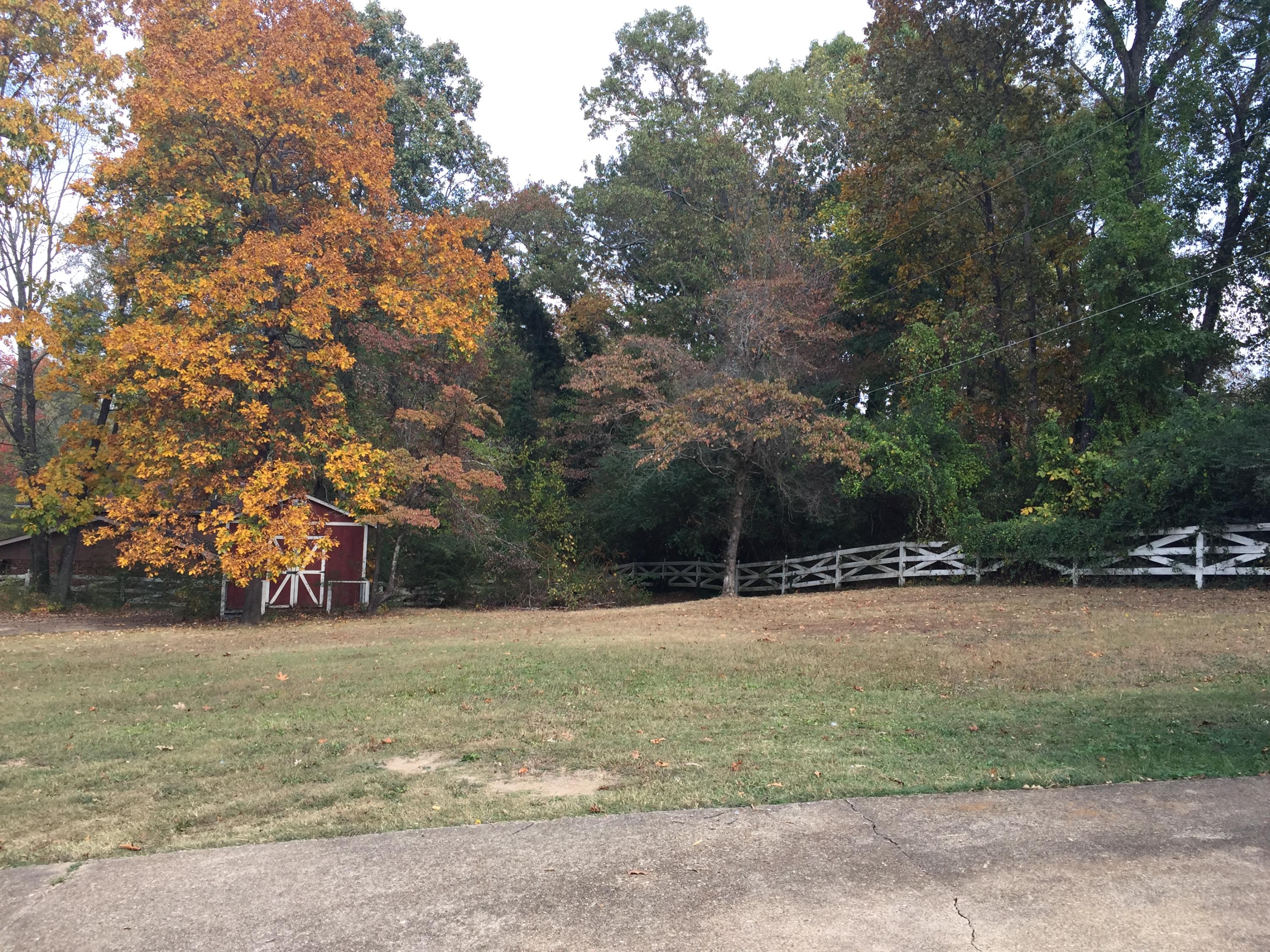 9202 River Oaks Road Harrison, TN 37341 - Photo 6 of 24 IMG_3754