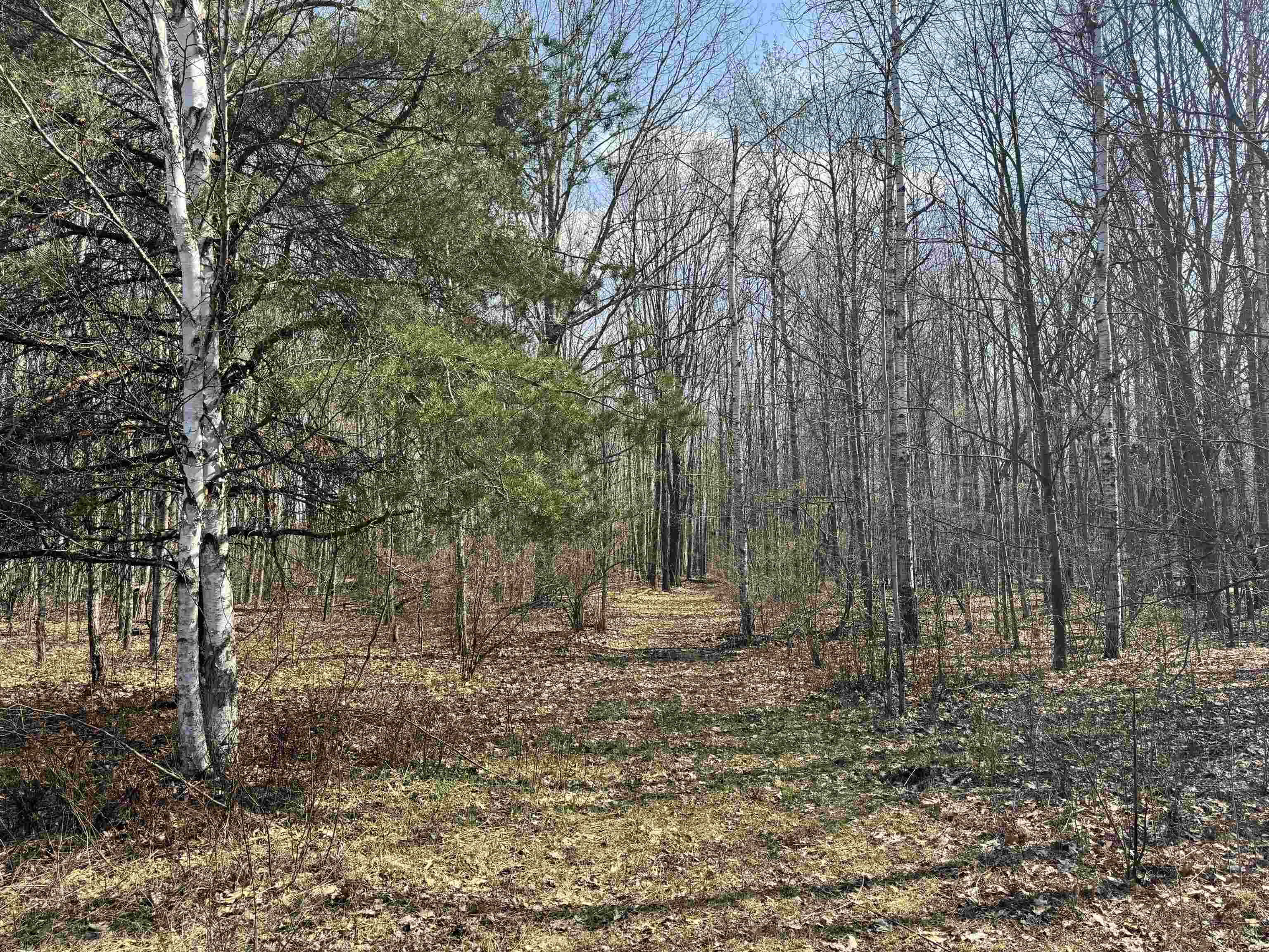 Tbd North Loomis Road Clare, MI 48617 - Photo 5 of 9