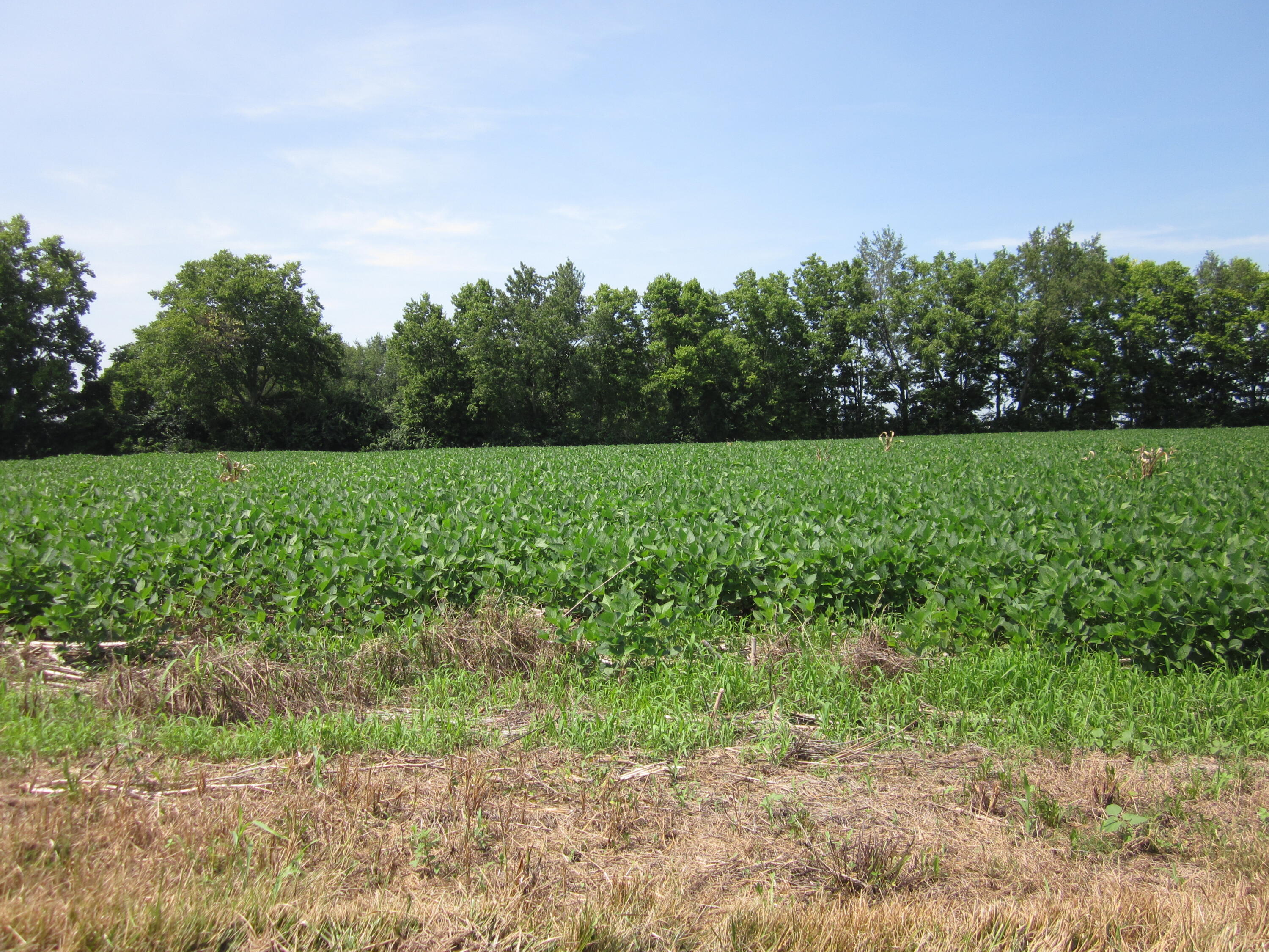 3115 Houston Antioch Road Lexington, KY 40516 - Photo 49 of 62 IMG_7829
