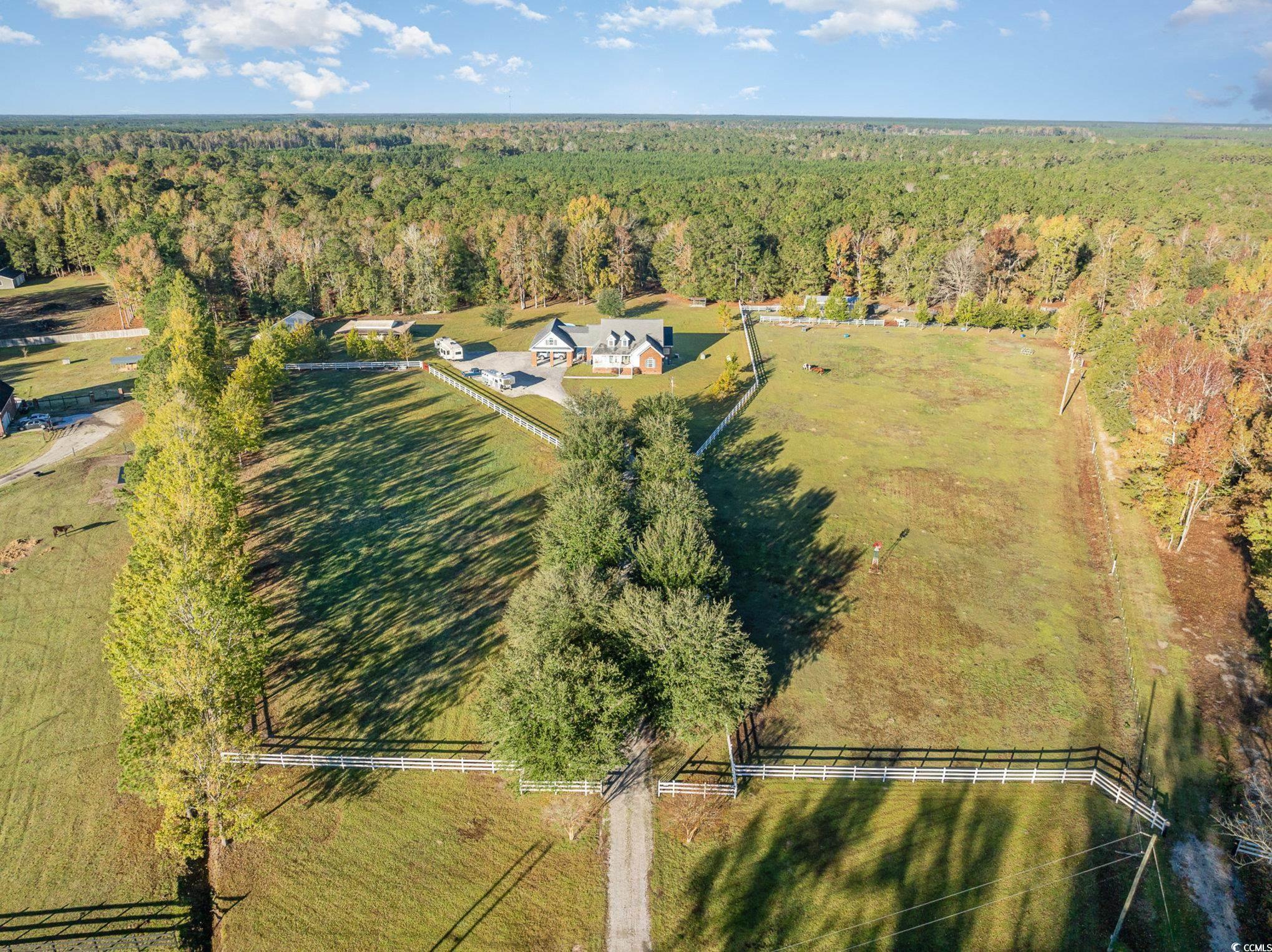 1555 Big Swamp Road Pamplico, SC 29583 - Photo 26 of 40