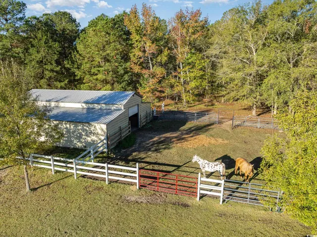 $699,900 | 1555 Big Swamp Road, Pamplico, SC 29583