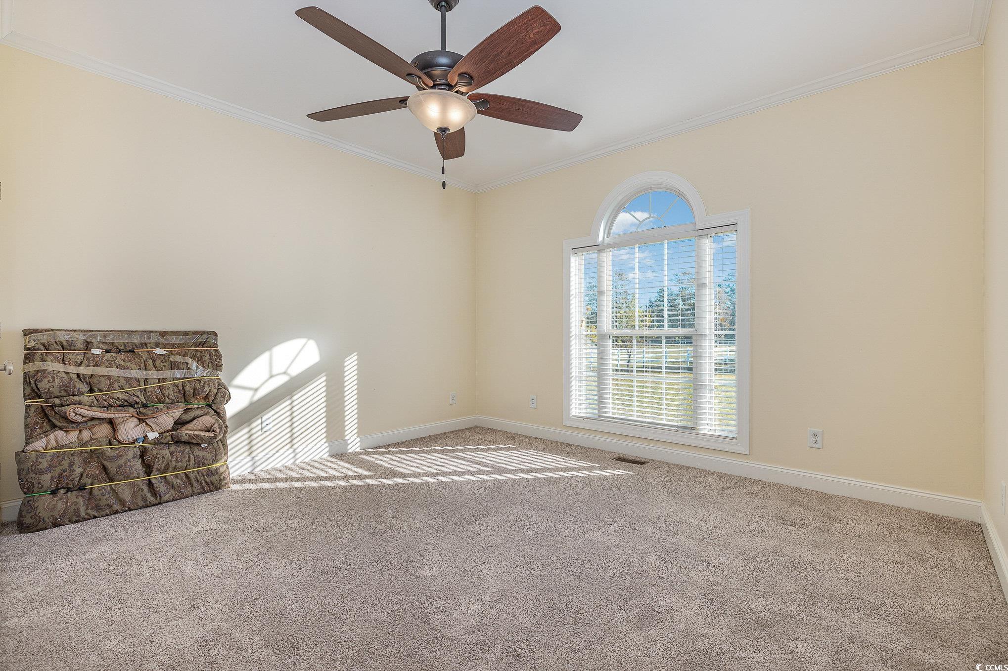 1555 Big Swamp Road Pamplico, SC 29583 - Photo 38 of 40 Brand New Carpet