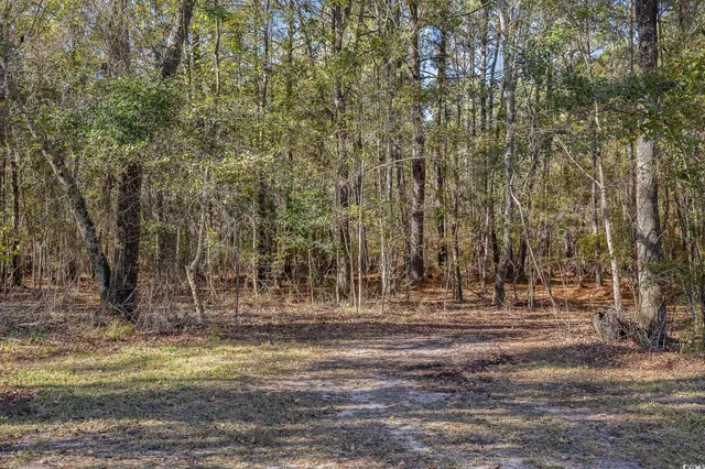 $699,900 | 1555 Big Swamp Road, Pamplico, SC 29583