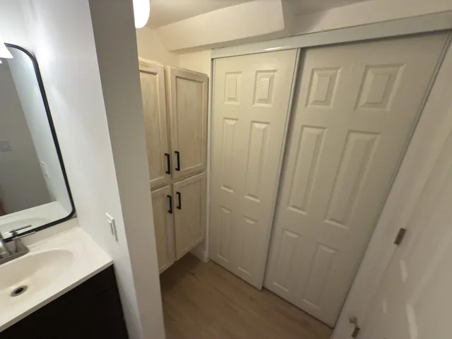 a bathroom with a sink a mirror and a shower