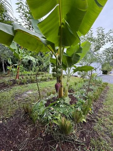 a backyard of a building with lots of green space