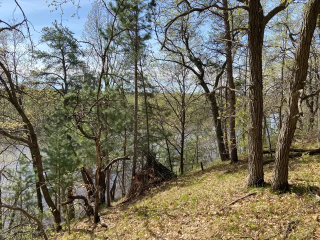 $59,900 | Tbd Eagle Ridge Drive South, Baxter, MN 56425