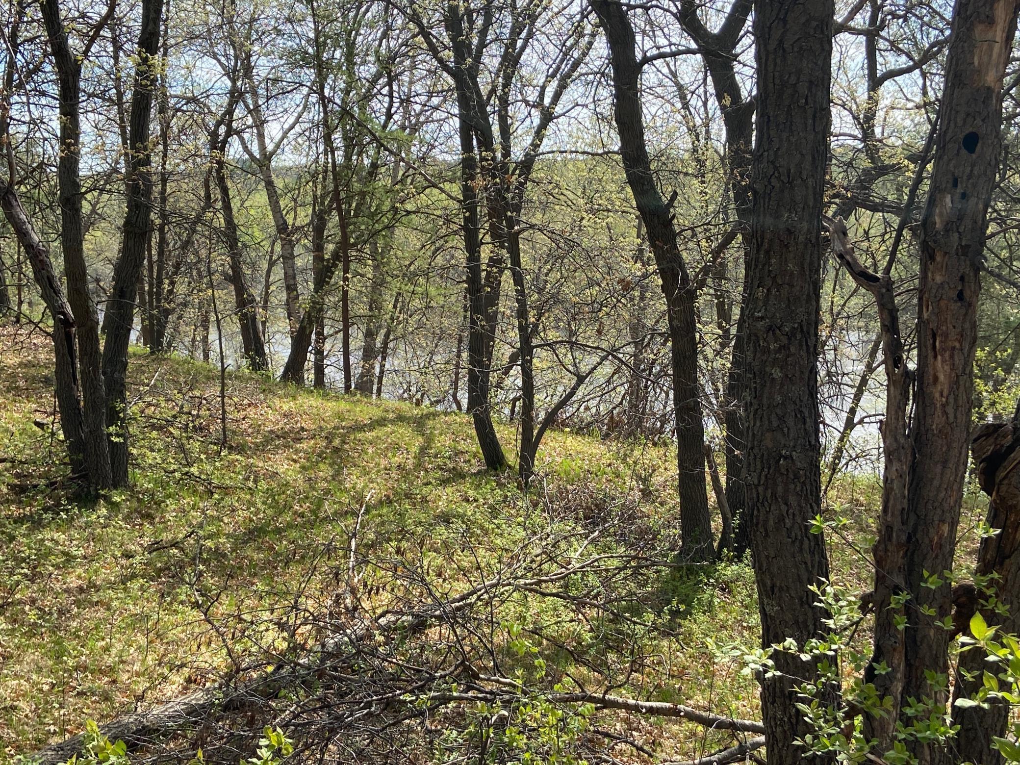 Tbd Eagle Ridge Drive South Baxter, MN 56425 - Photo 4 of 9