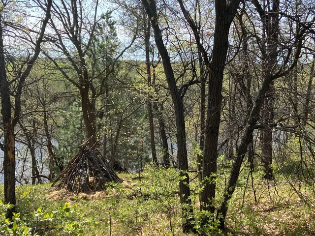 $59,900 | Tbd Eagle Ridge Drive South, Baxter, MN 56425