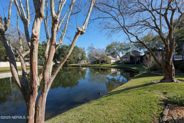 a view of a lake in between the trees