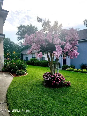 a view of a wooden house with a big yard and potted plants