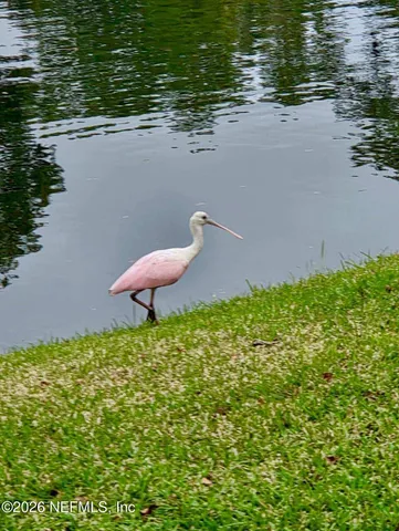 a view of a lake from a yard