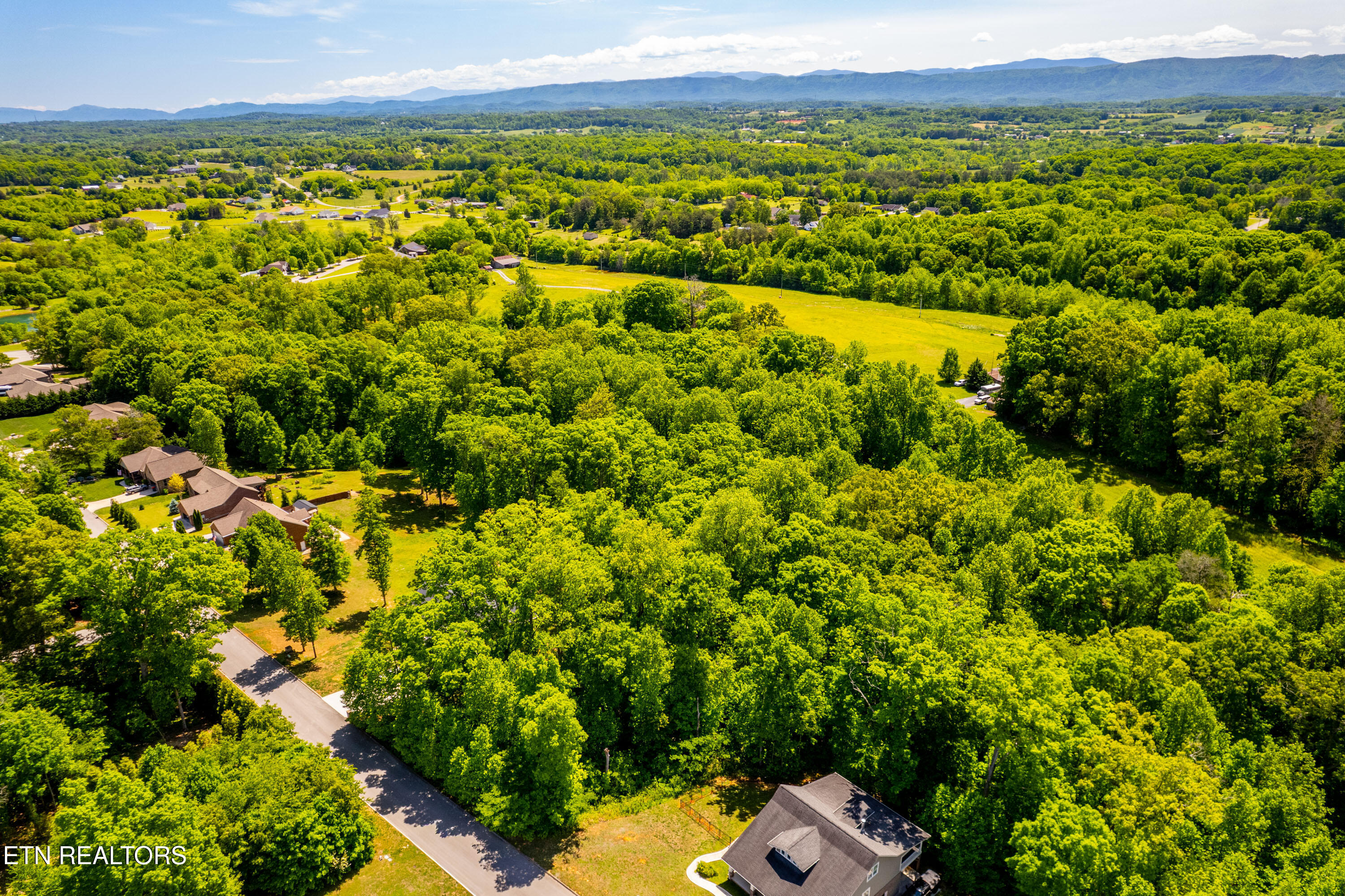 1055 Houston Springs Road Greenback, TN 37742 - Photo 7 of 21 1055HoustonSpringsRd-6
