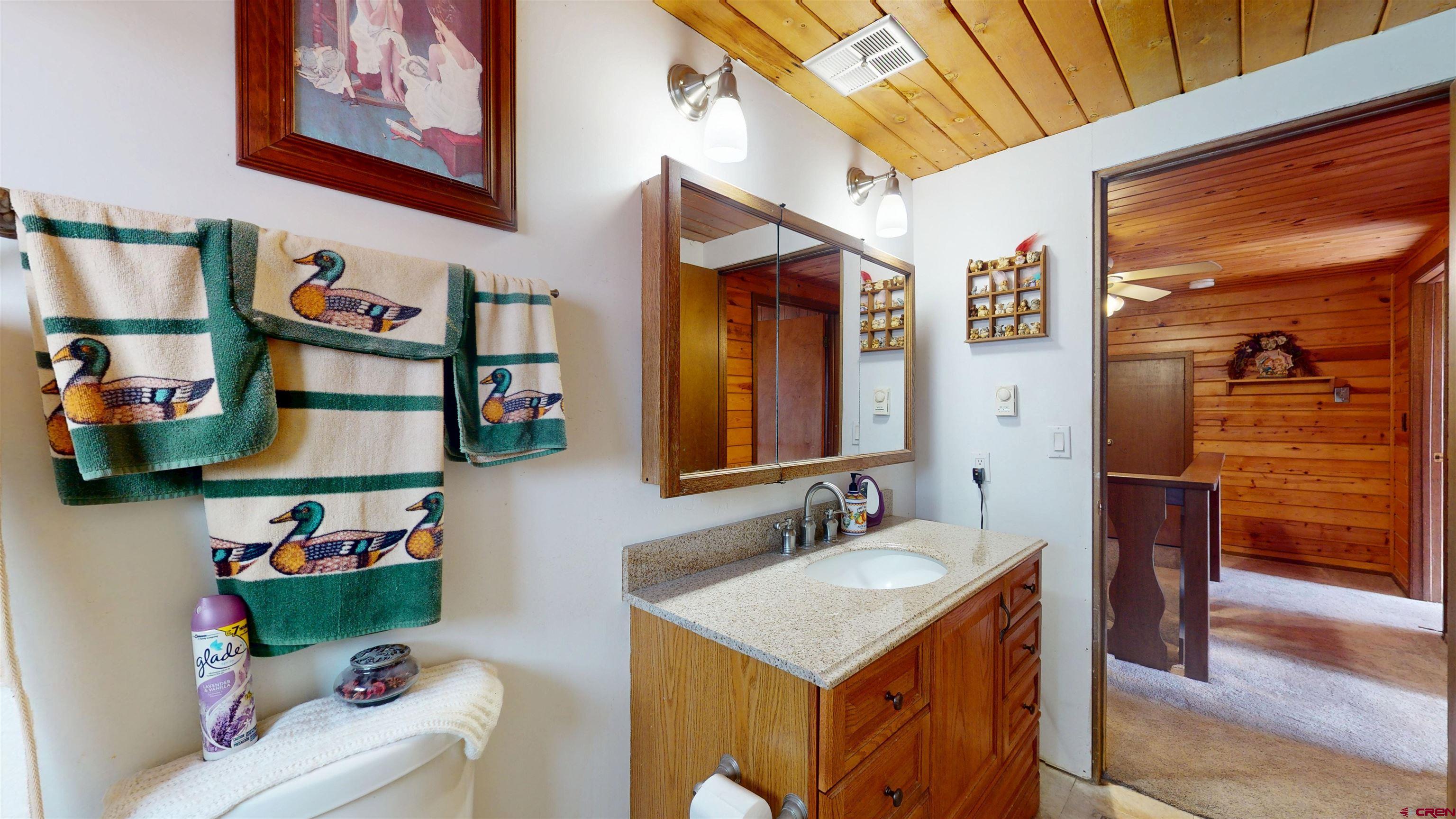 19253 Stevens Gulch Road Paonia, CO 81428 - Photo 37 of 43 a bathroom with a sink and a mirror