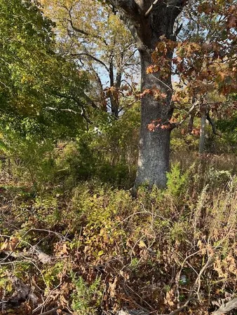 $99,000 | 70 Old Quogue Road, Riverside, NY 11901