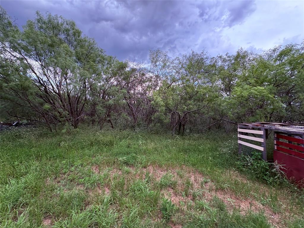 1117 North Tiffin Road Ranger, TX 76470 - Photo 10 of 40