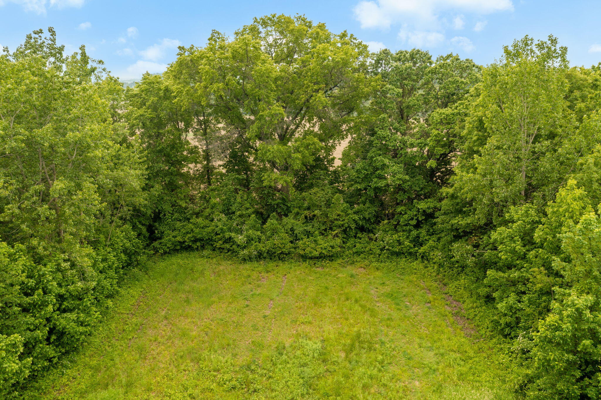 1820 West Rockey Weed Road Berrien Springs, MI 49103 - Photo 24 of 31 1820 W Rockey weed rd-31
