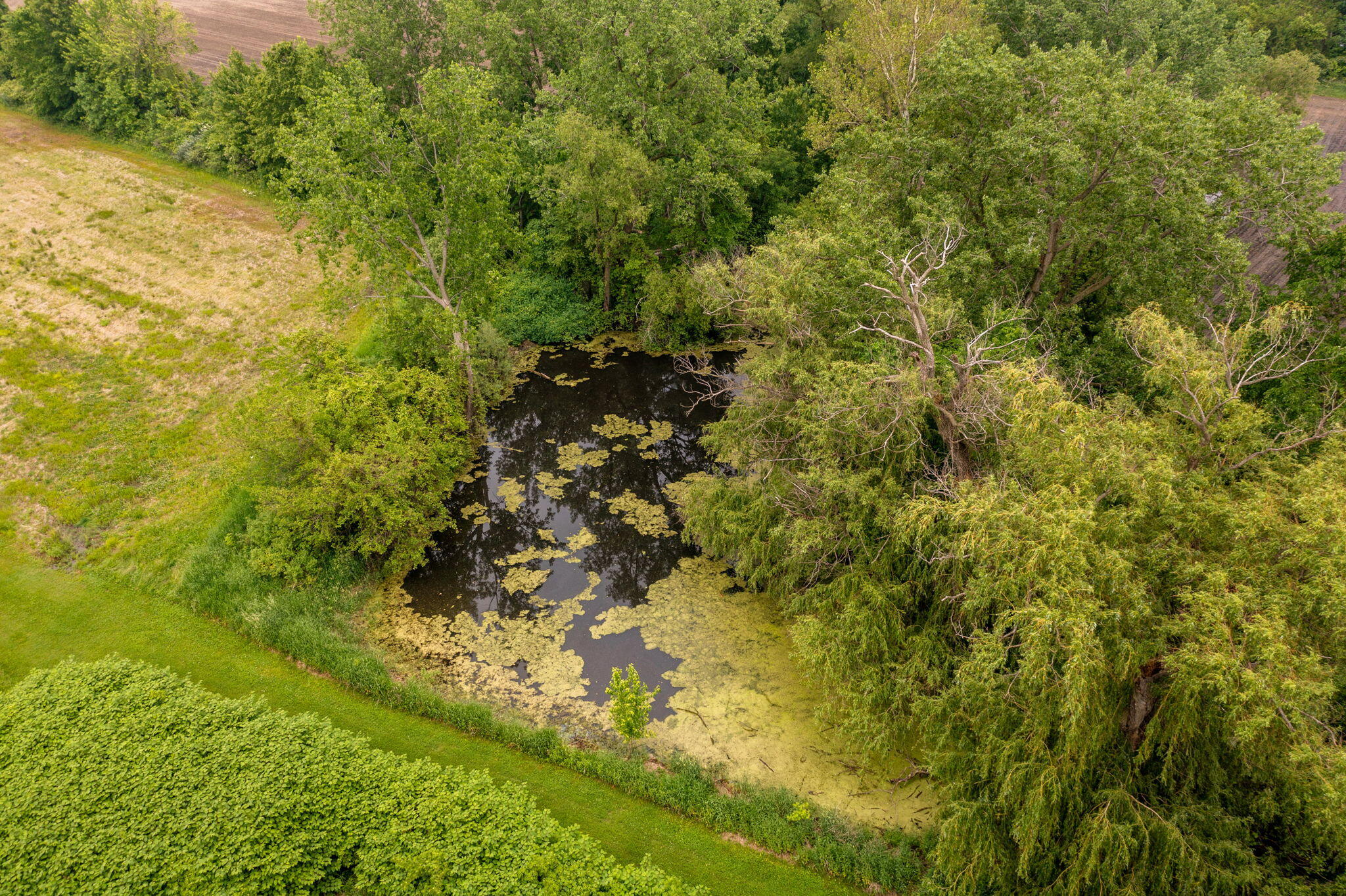 1820 West Rockey Weed Road Berrien Springs, MI 49103 - Photo 6 of 31 1820 W Rockey weed rd-34