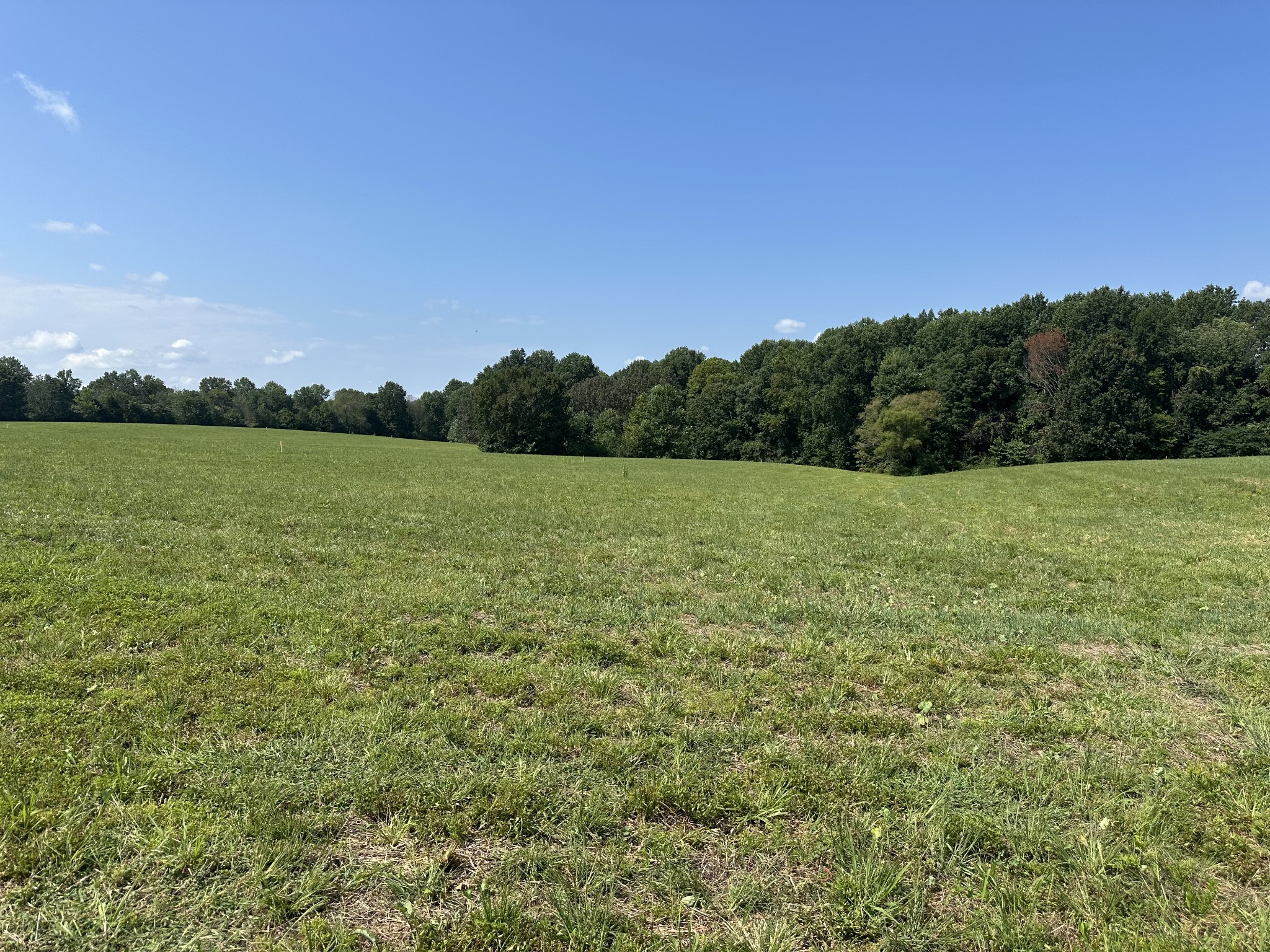 a view of a field with an ocean and trees