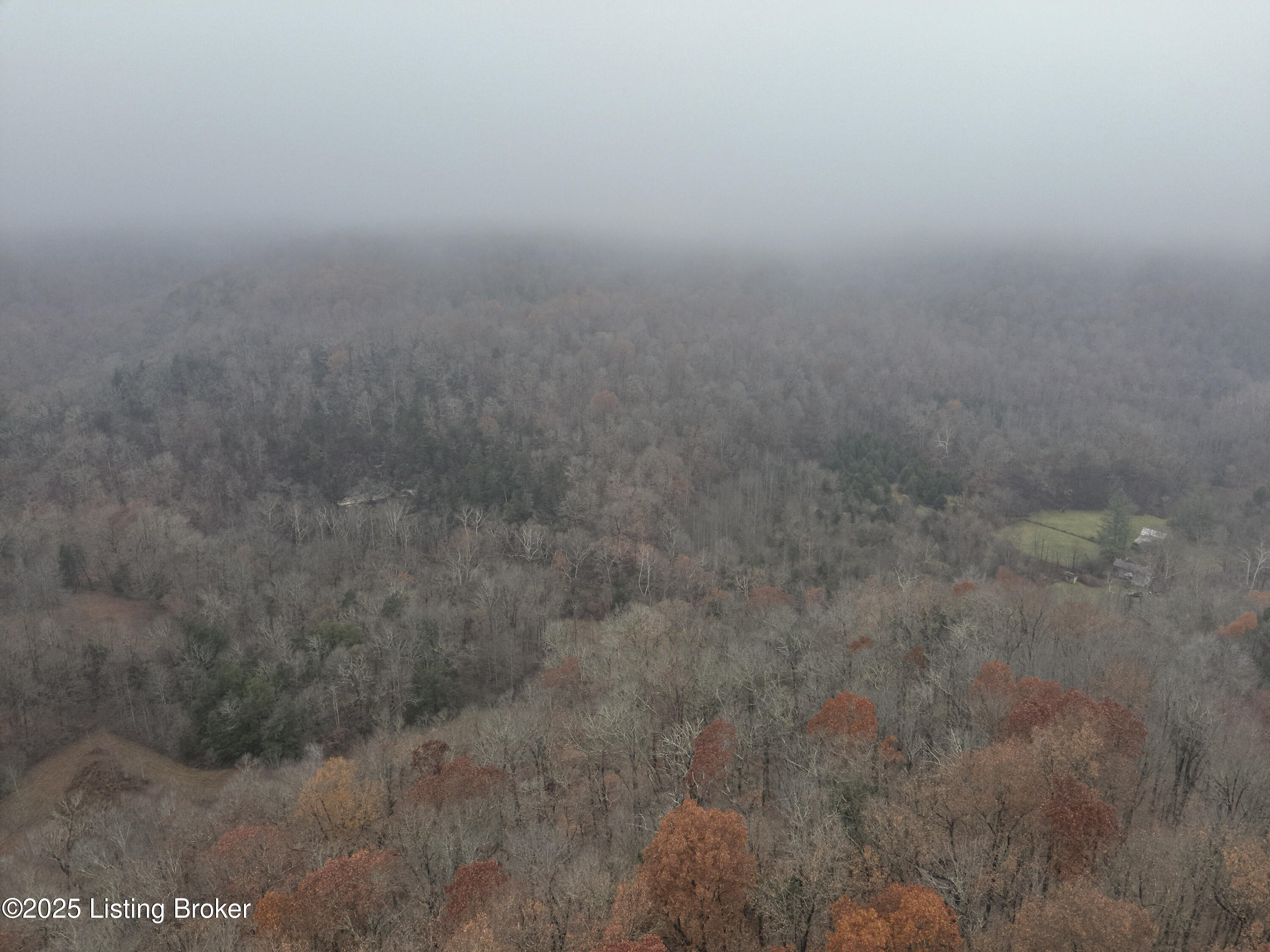 3095 Herbert Howell Road Hodgenville, KY 42748 - Photo 38 of 80 22-DJI_20251119122220_0006_W