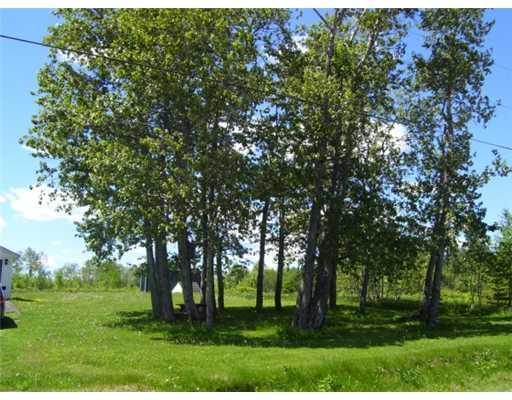 186 Everett Road Washburn, ME 04786 - Photo 5 of 18 Yard/Garden.