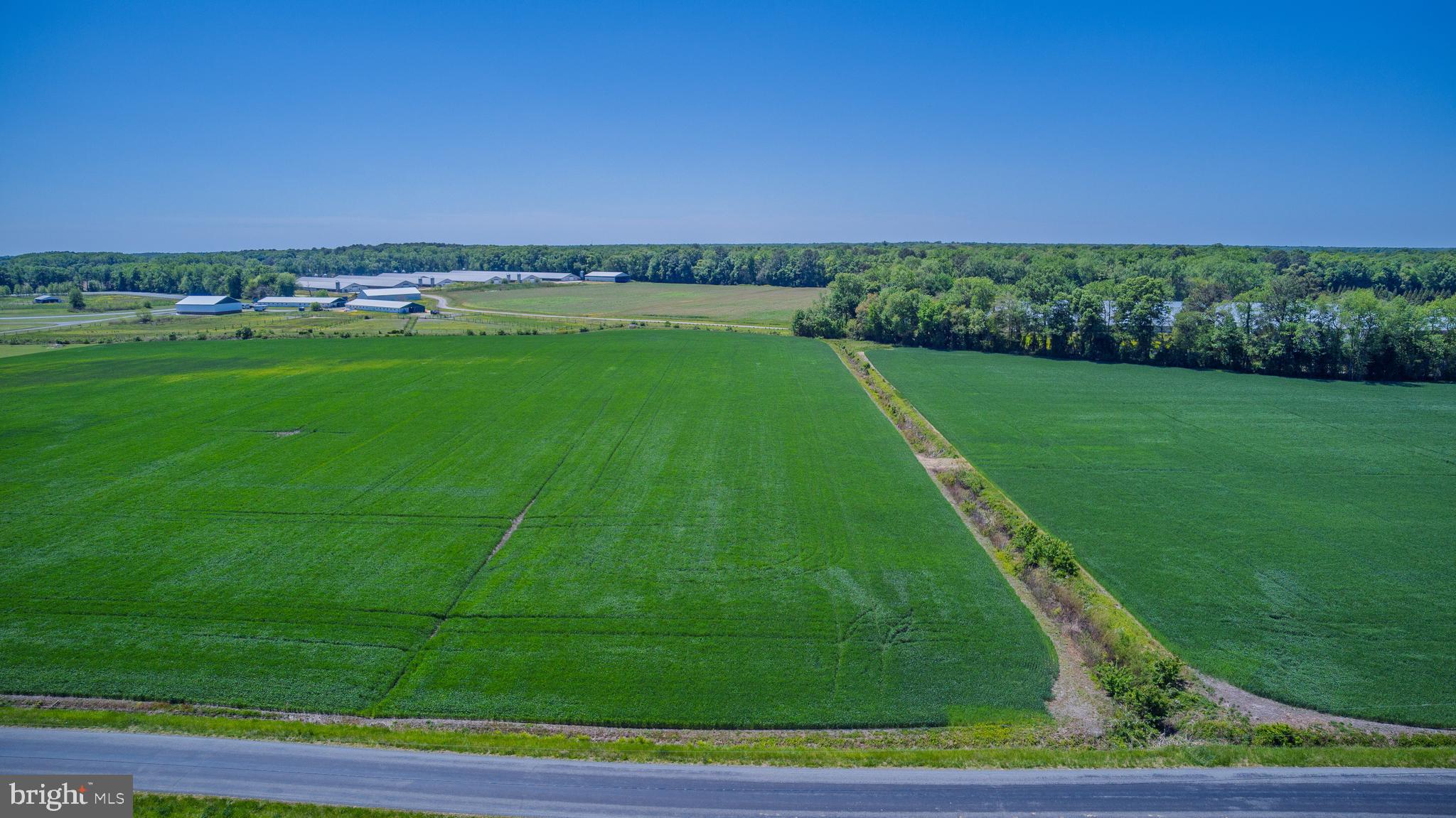 Lot #12 Tower Road Camden Wyoming, DE 19934 - Photo 6 of 8