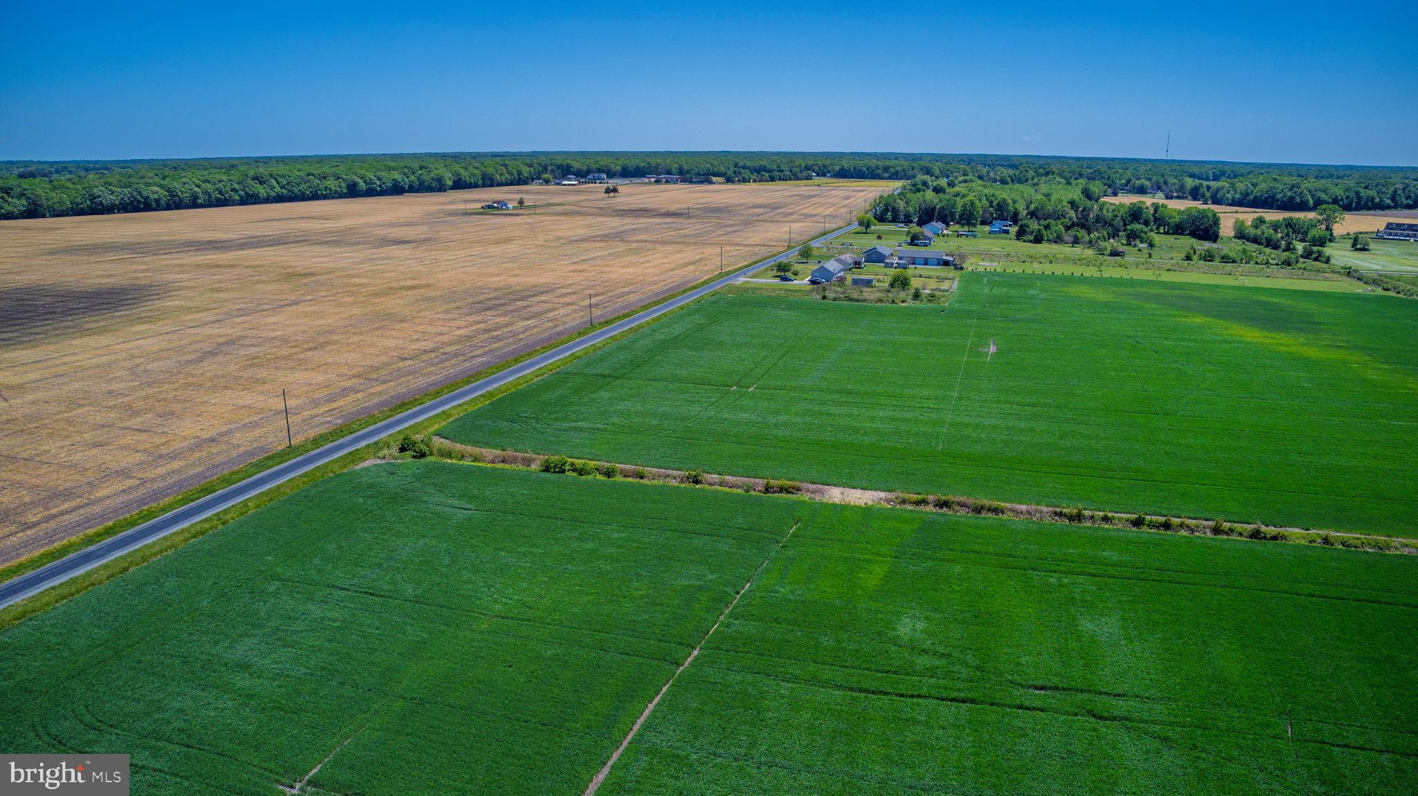Lot #12 Tower Road Camden Wyoming, DE 19934 - Photo 8 of 8