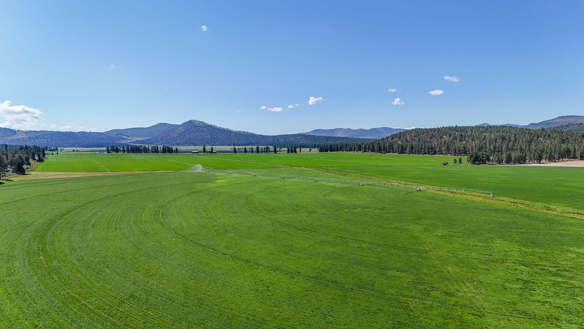 17025 Mitchell Road Dairy, OR 97625 - Photo 11 of 33 DJI_20250705103425_0080_D