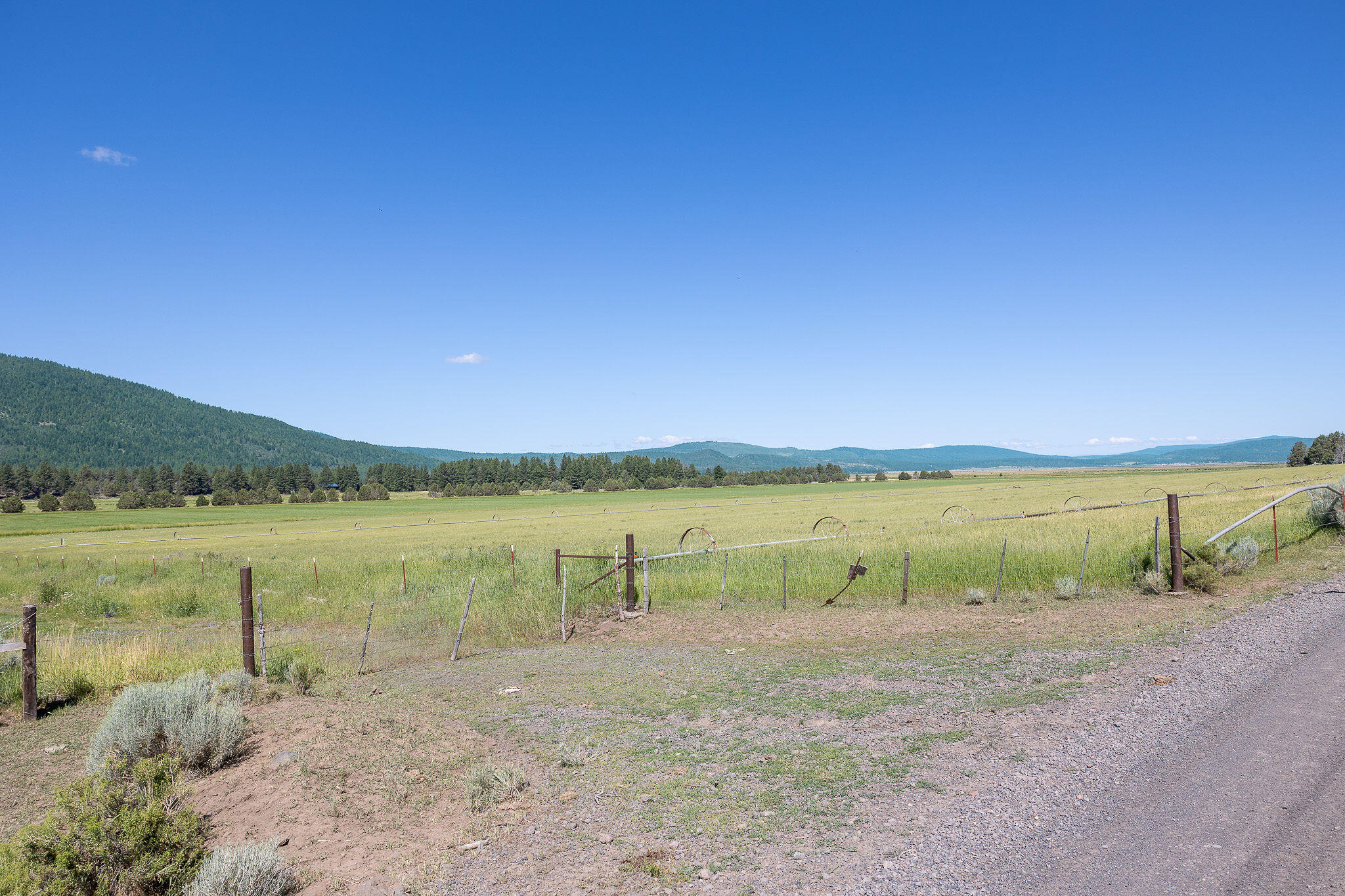 17025 Mitchell Road Dairy, OR 97625 - Photo 4 of 33 335A5304