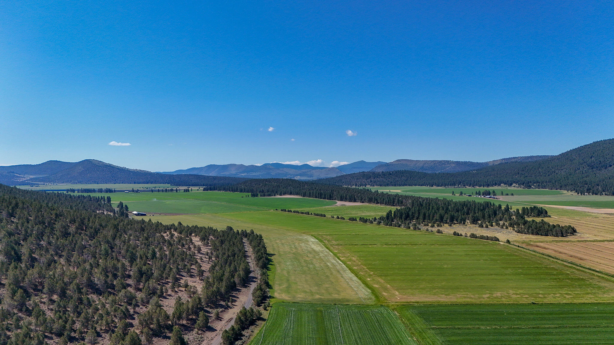 17025 Mitchell Road Dairy, OR 97625 - Photo 7 of 33 DJI_20250705102921_0077_D