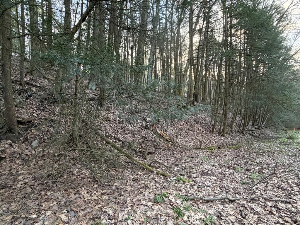 0 Firemans Road Clarion, PA 16214 - Photo 8 of 20