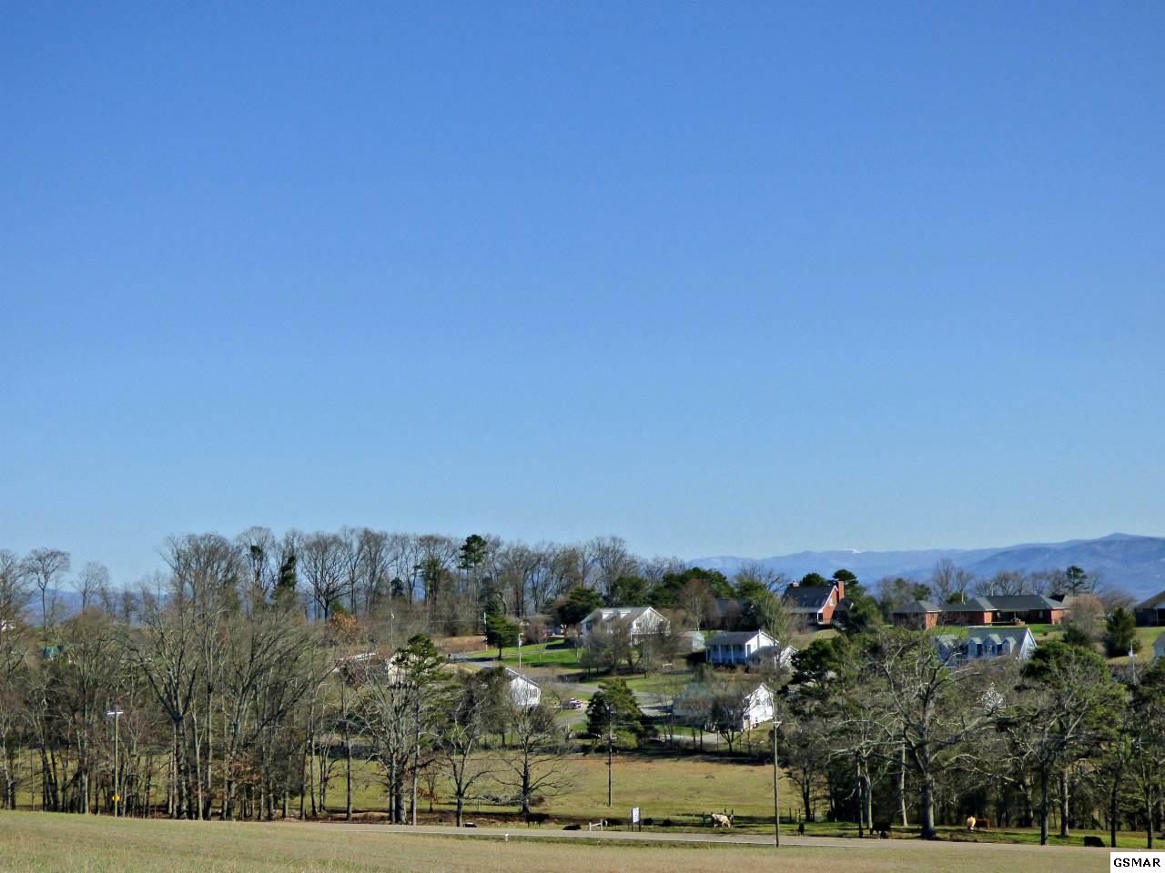 4 Valley Home Road Dandridge, TN 37725 - Photo 6 of 30 Gallery Image 6