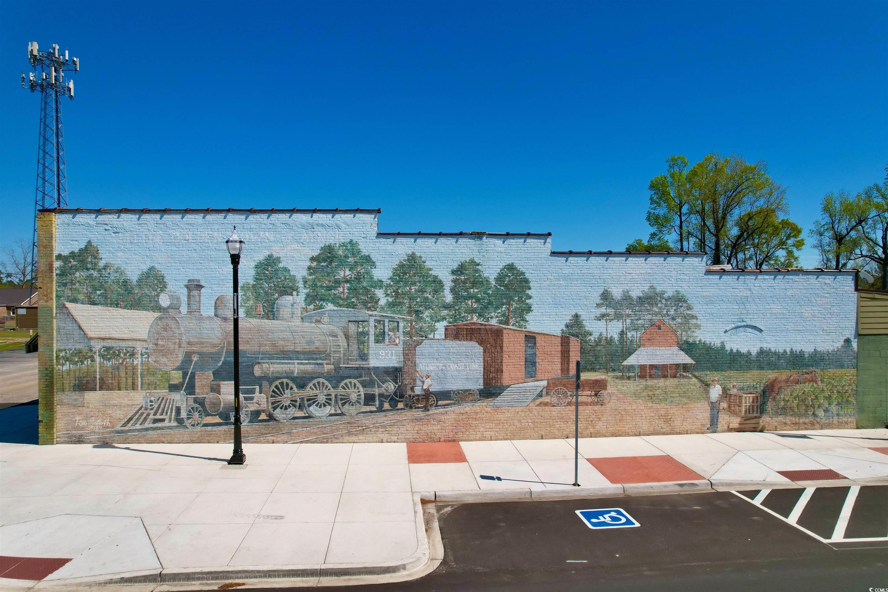 208 Baylee Circle Galivants Ferry, SC 29544 - Photo 39 of 39