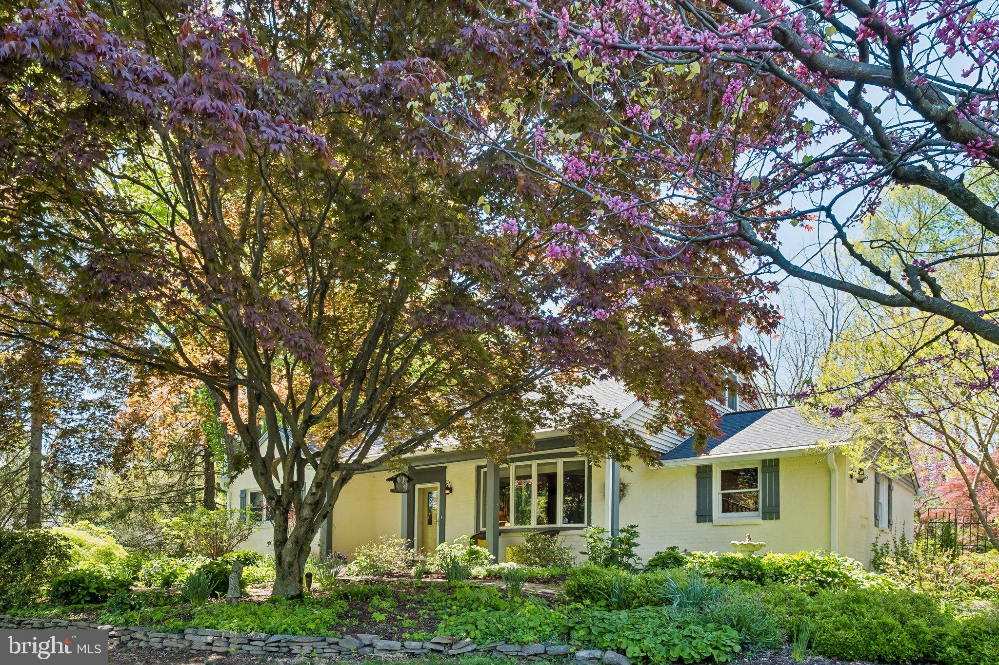 a front view of a house with a tree