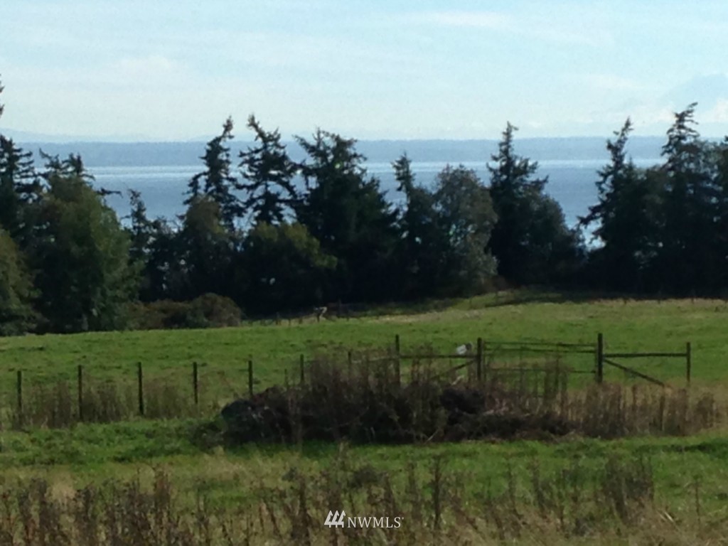 2 South McMaster Road Freeland, WA 98249 - Photo 4 of 9