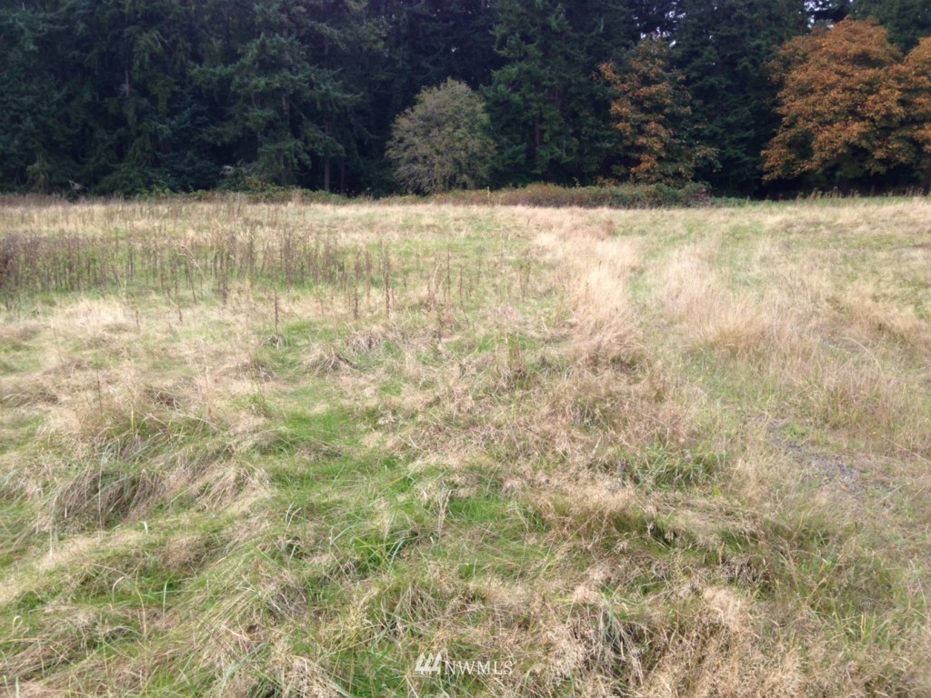 2 South McMaster Road Freeland, WA 98249 - Photo 8 of 9