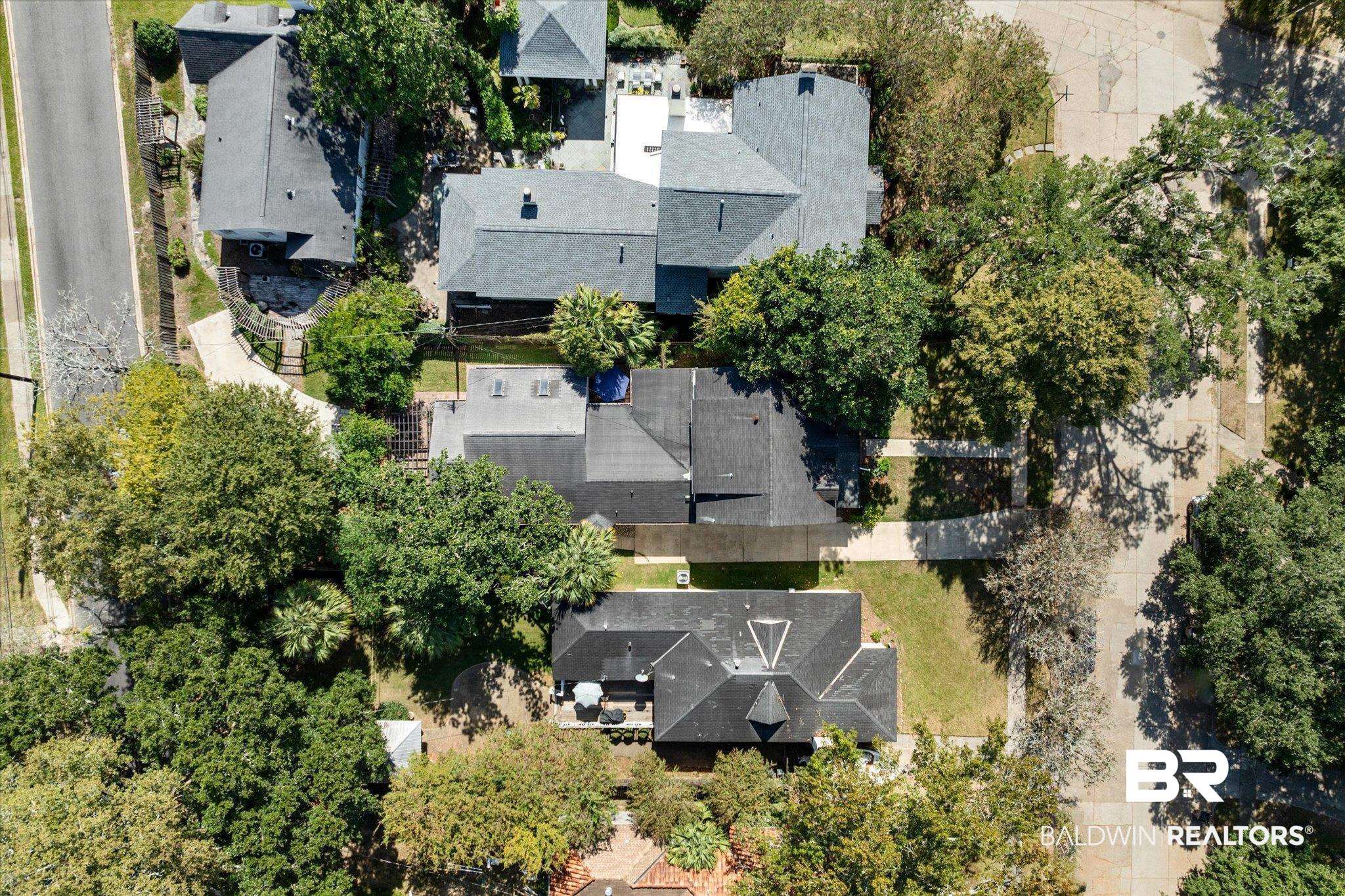 202 Woodlands Avenue Mobile, AL 36607 - Photo 44 of 53 Aerial view