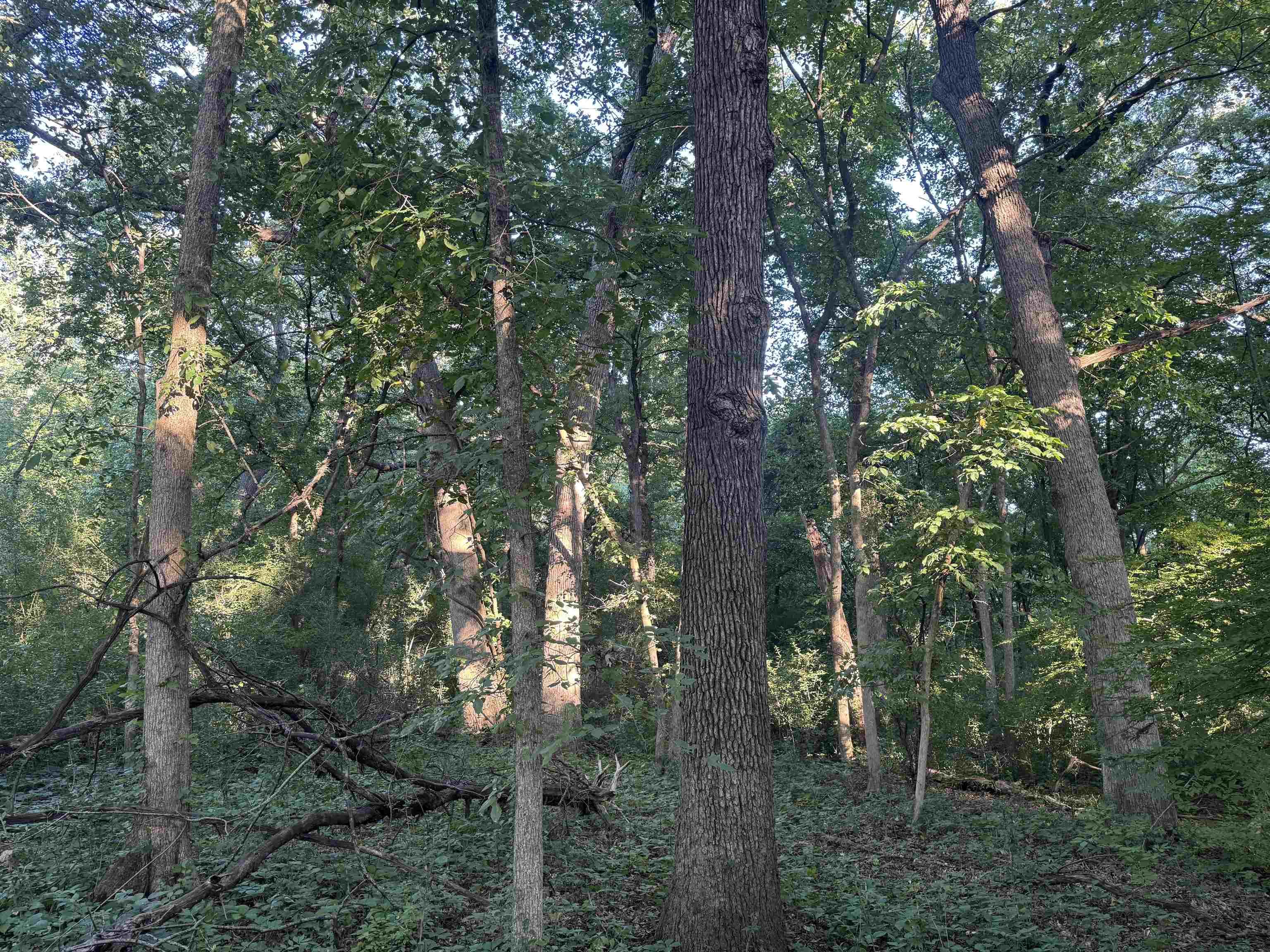 1.29 M/l Acres South Molar Beloit, WI 53511 - Photo 12 of 34