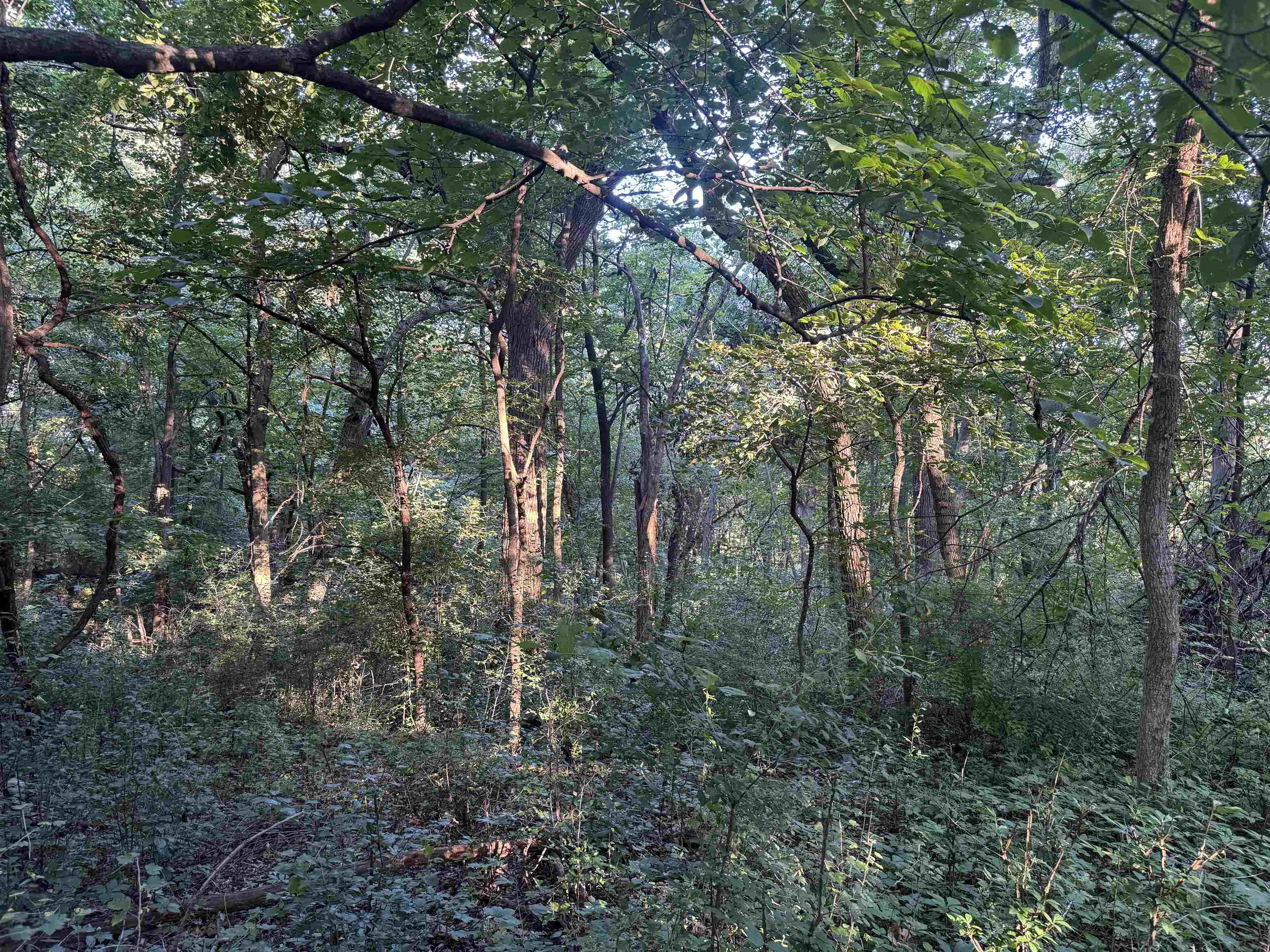 1.29 M/l Acres South Molar Beloit, WI 53511 - Photo 13 of 34