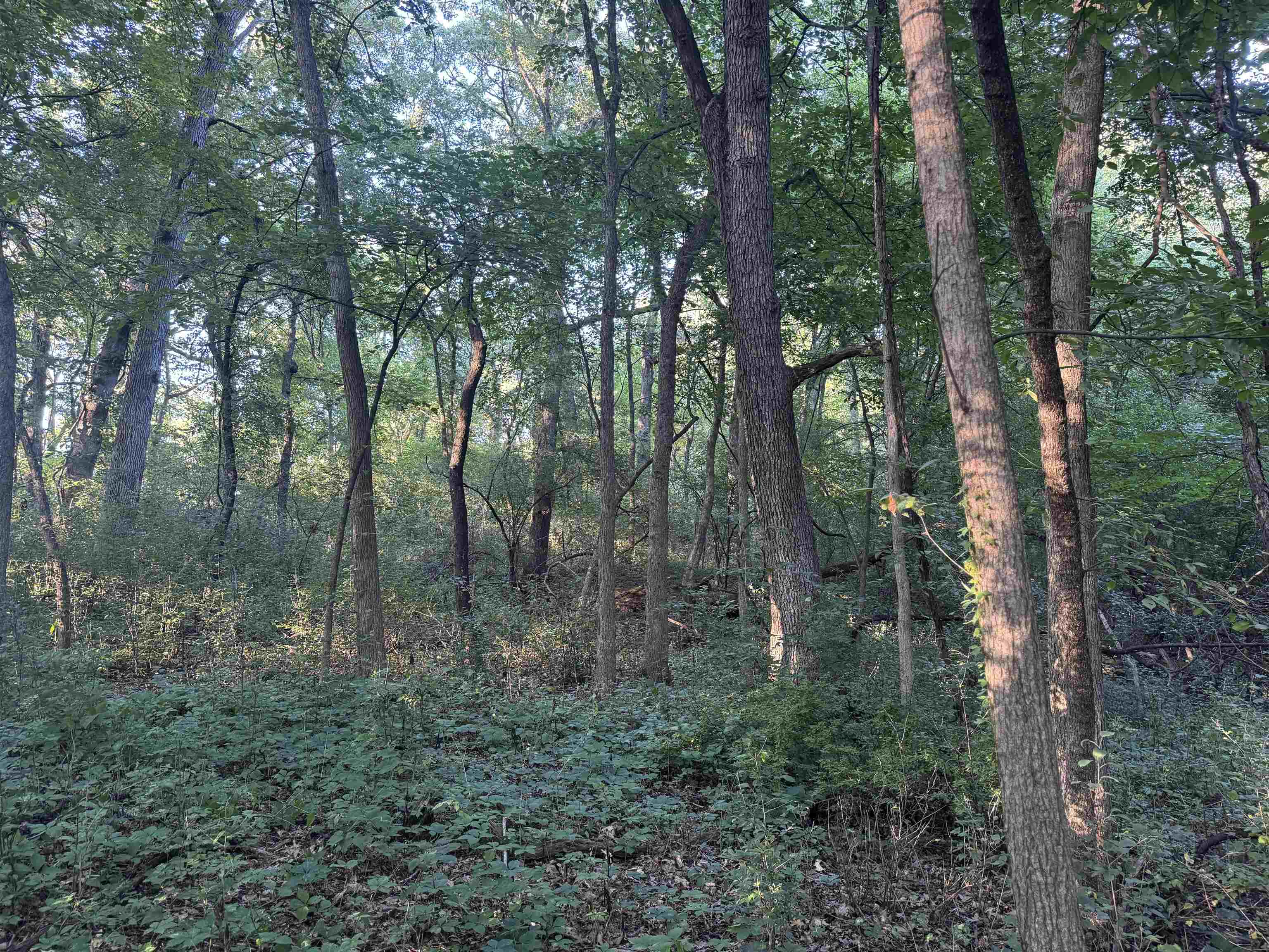 1.29 M/l Acres South Molar Beloit, WI 53511 - Photo 14 of 34