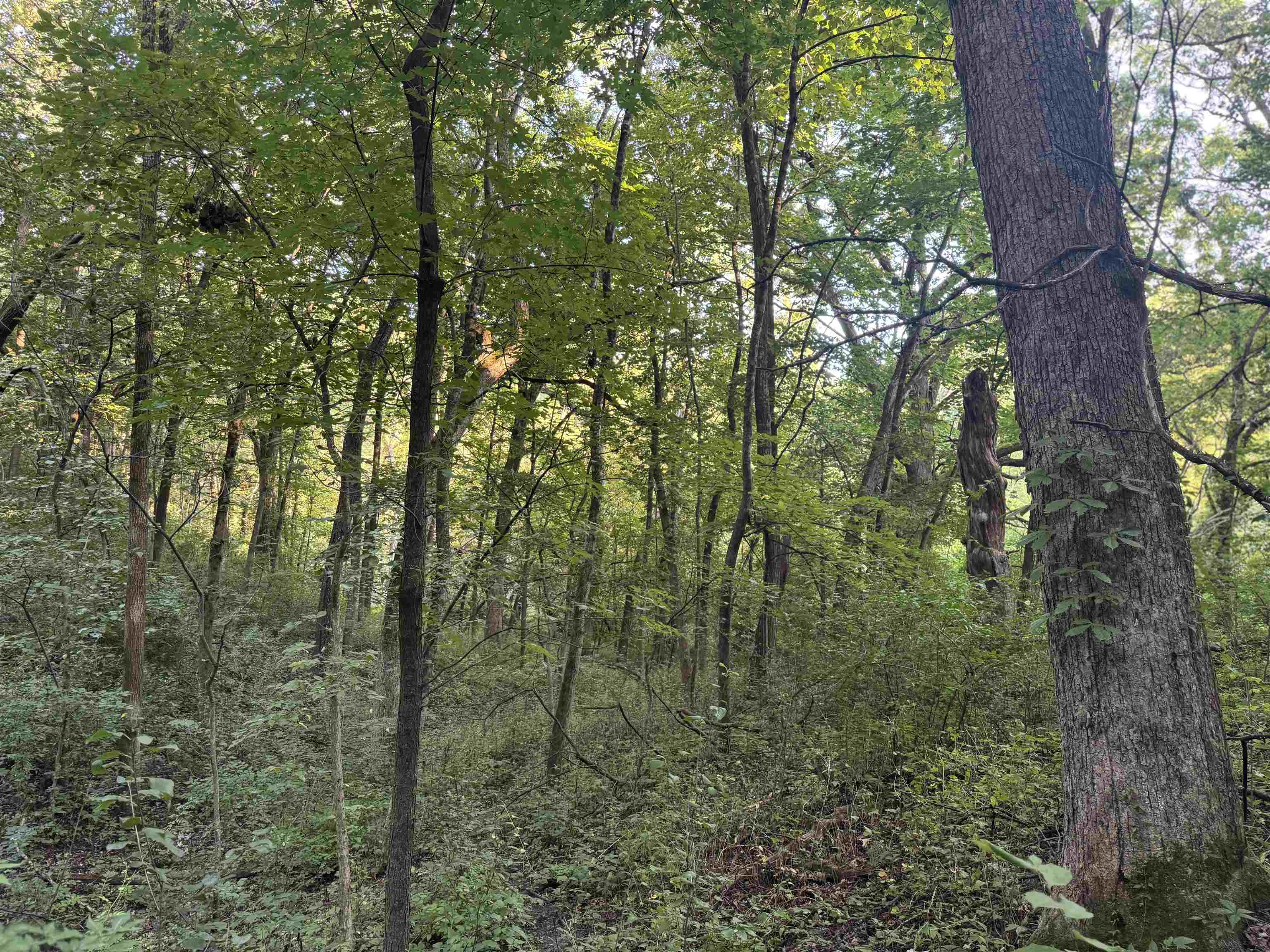 1.29 M/l Acres South Molar Beloit, WI 53511 - Photo 15 of 34