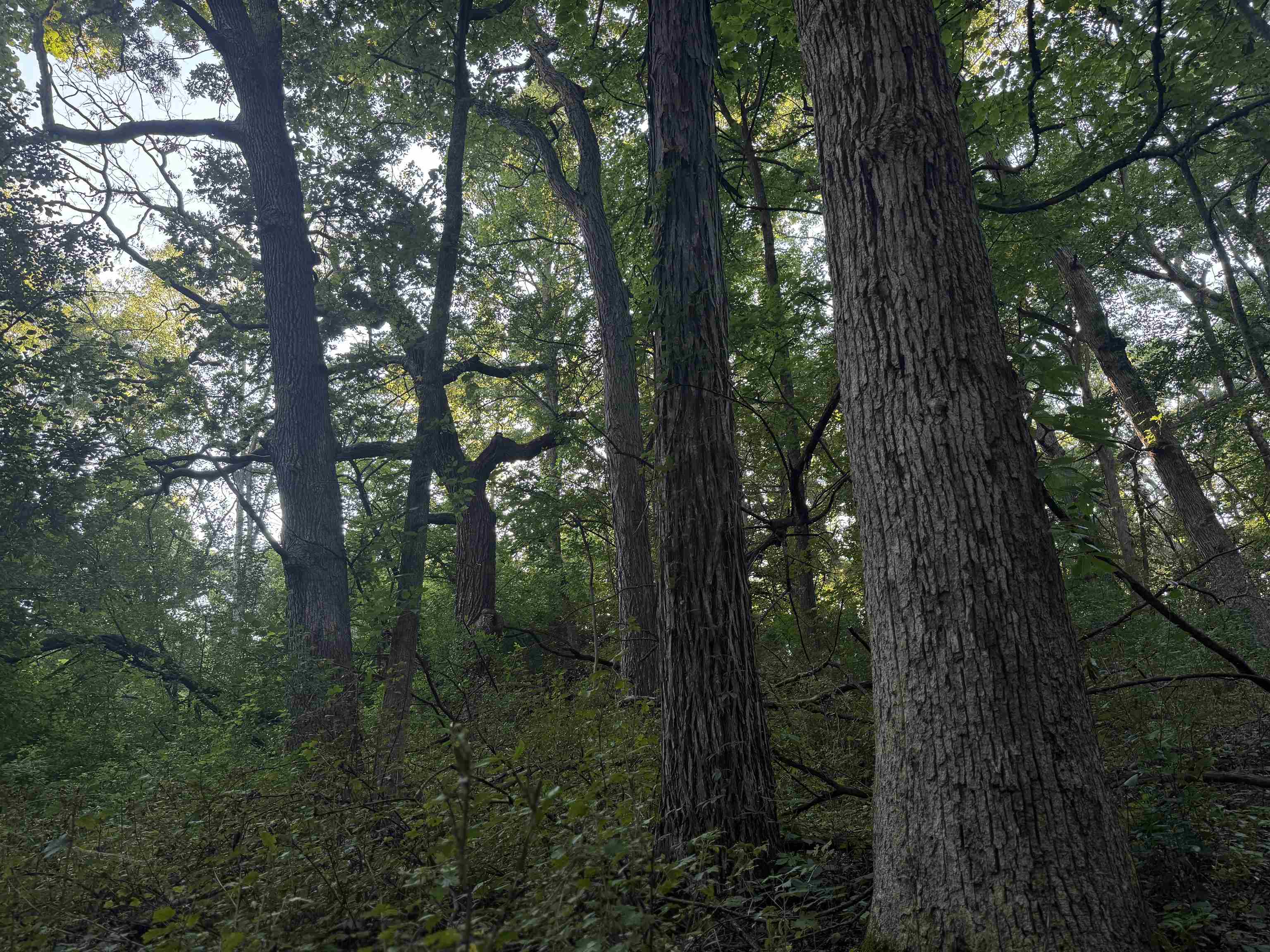 1.29 M/l Acres South Molar Beloit, WI 53511 - Photo 16 of 34