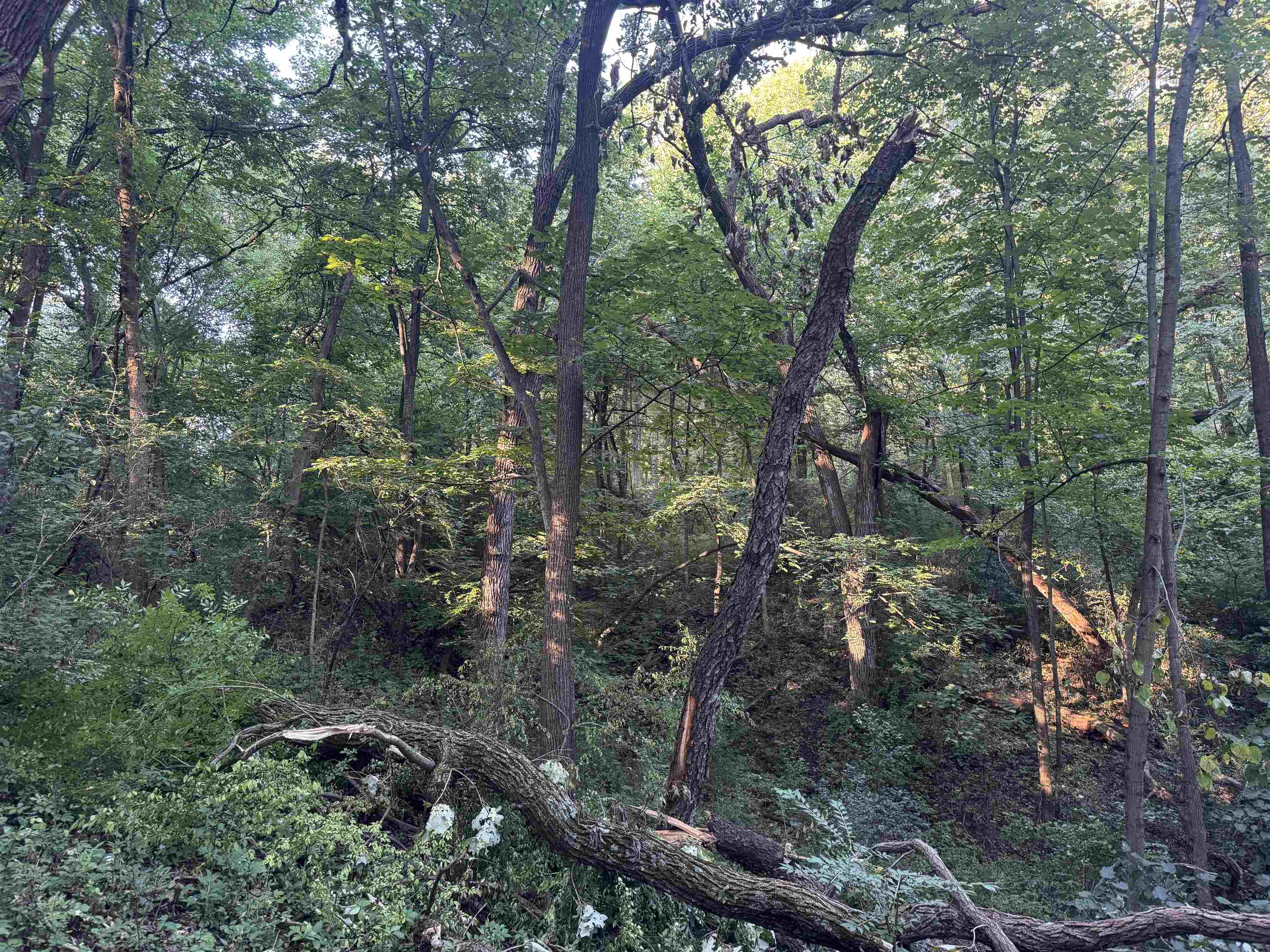 1.29 M/l Acres South Molar Beloit, WI 53511 - Photo 17 of 34