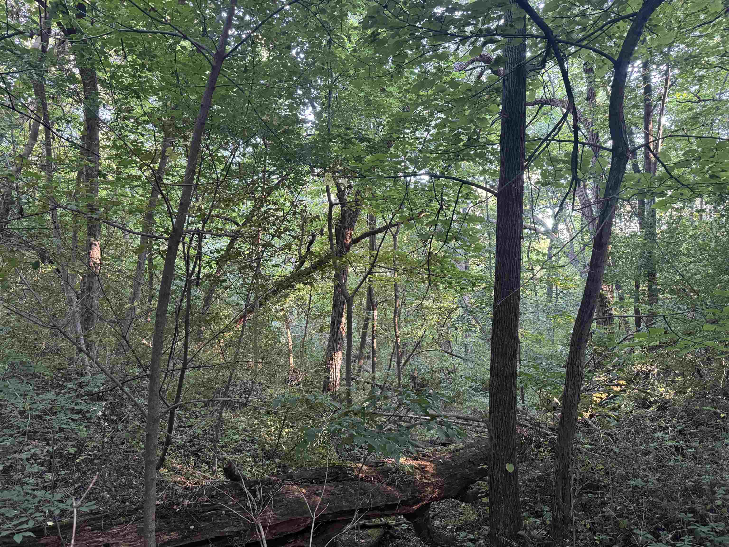 1.29 M/l Acres South Molar Beloit, WI 53511 - Photo 19 of 34