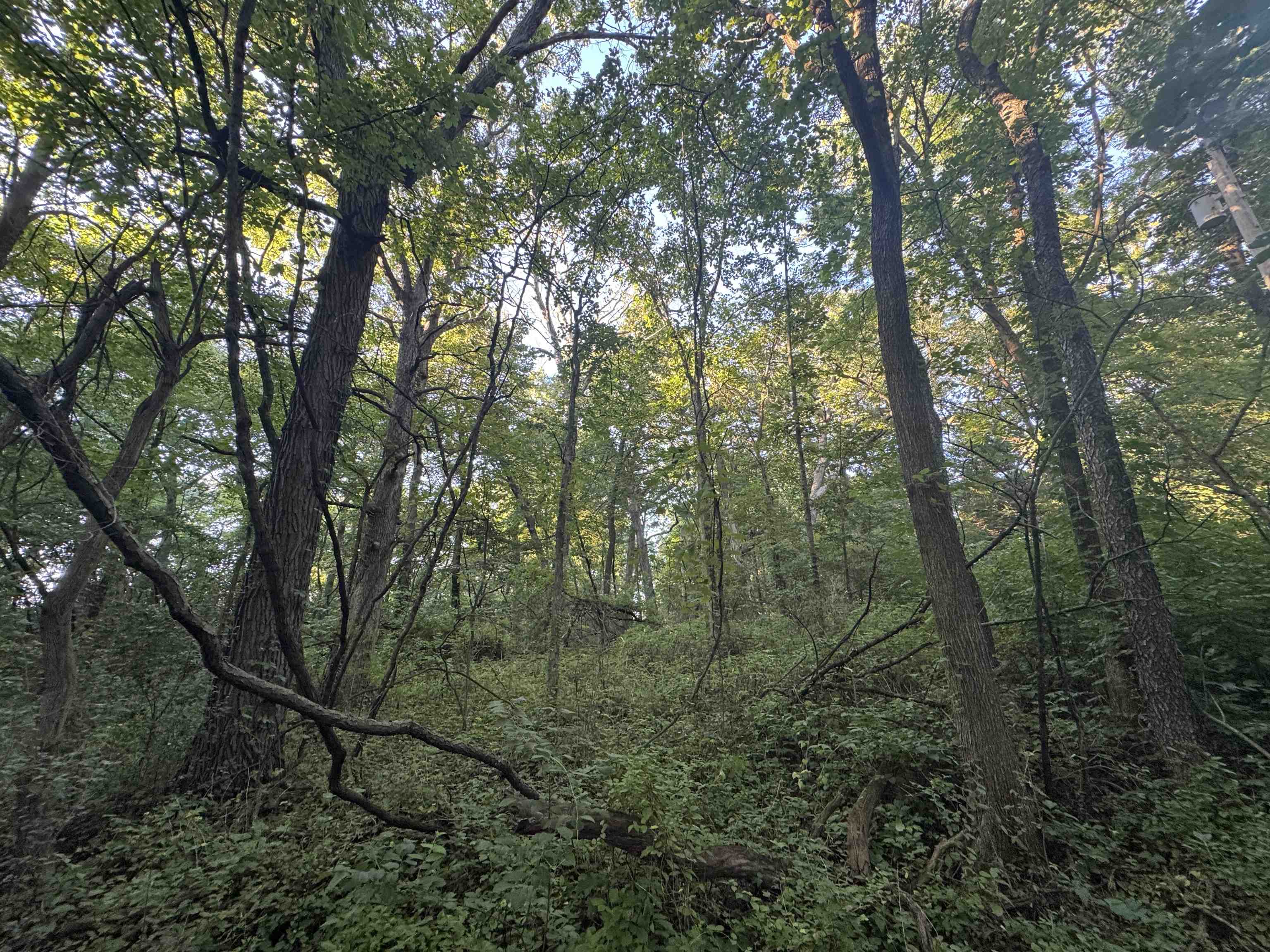 1.29 M/l Acres South Molar Beloit, WI 53511 - Photo 21 of 34