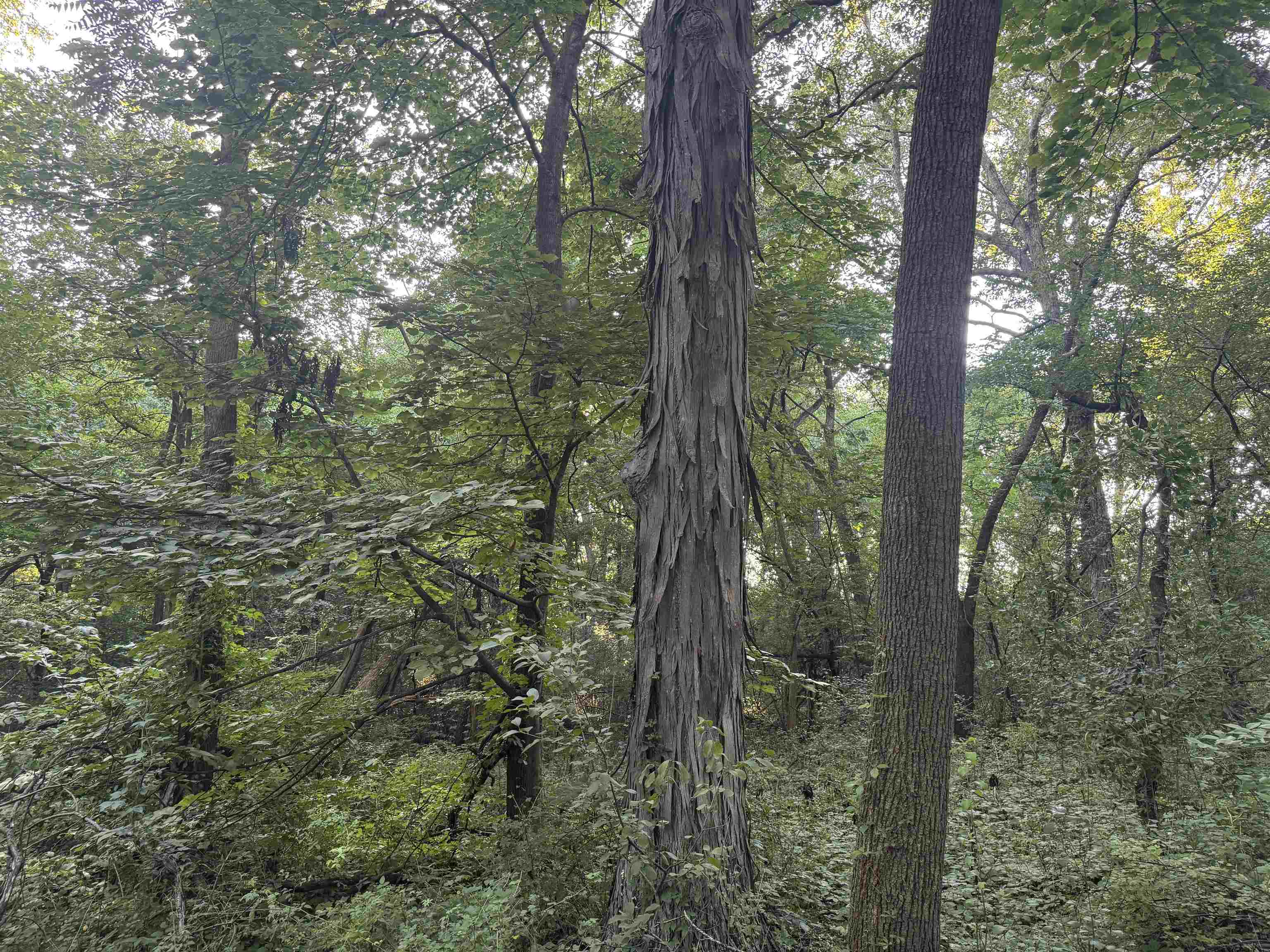 1.29 M/l Acres South Molar Beloit, WI 53511 - Photo 22 of 34